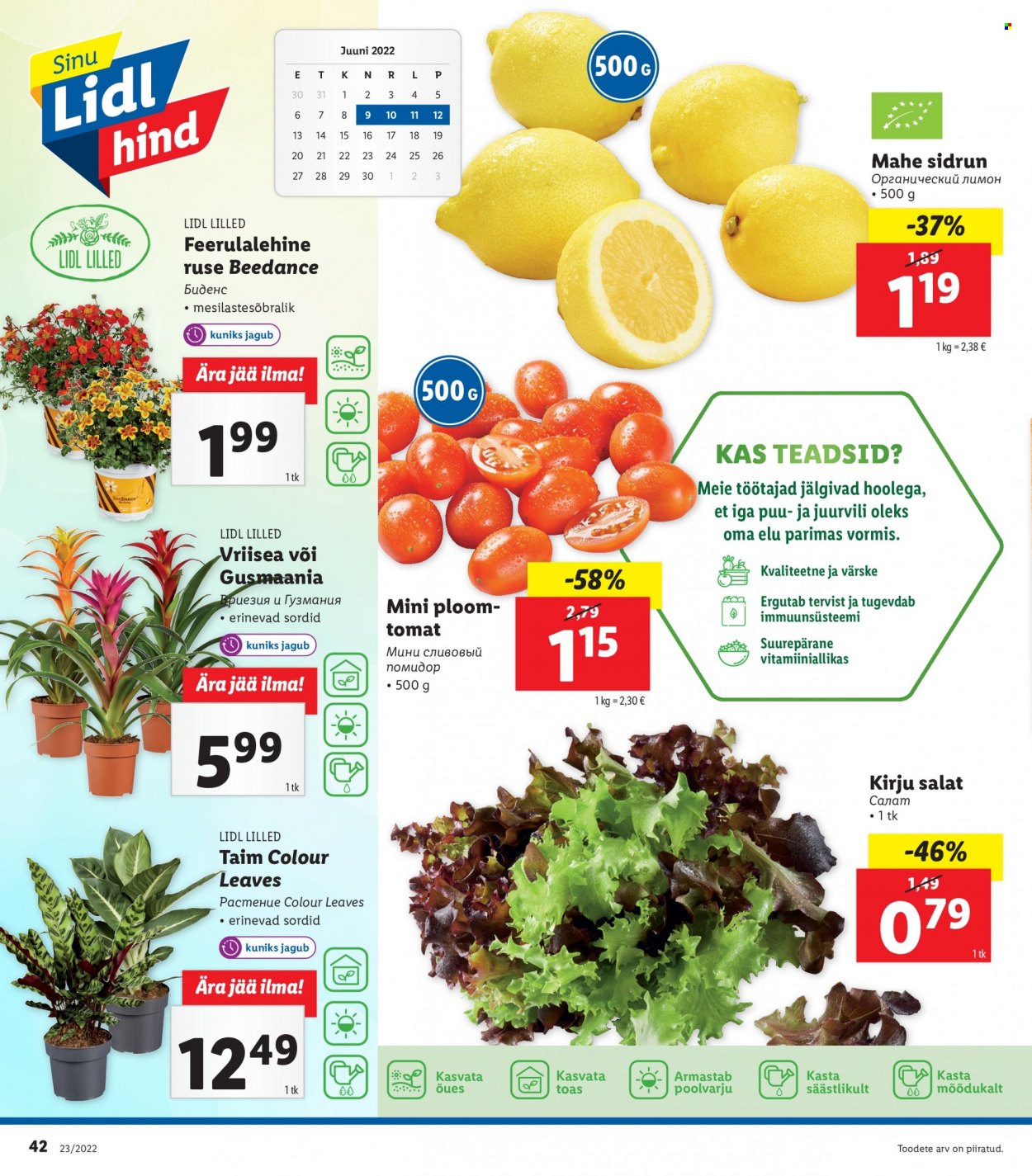 Lidl kliendileht - 06.06.2022 - 12.06.2022. Lehekülg 42