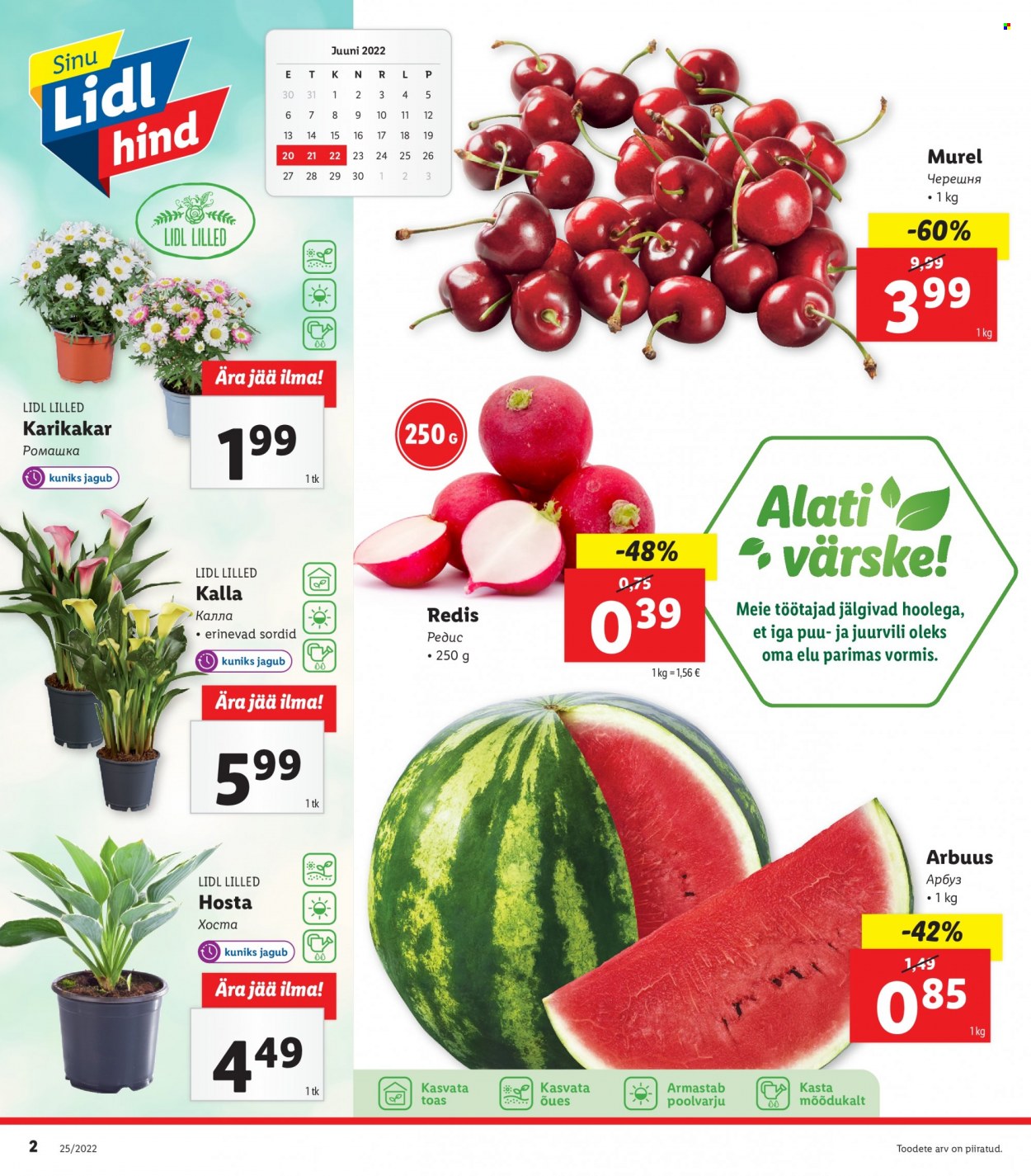 Lidl kliendileht - 20.06.2022 - 26.06.2022. Lehekülg 2