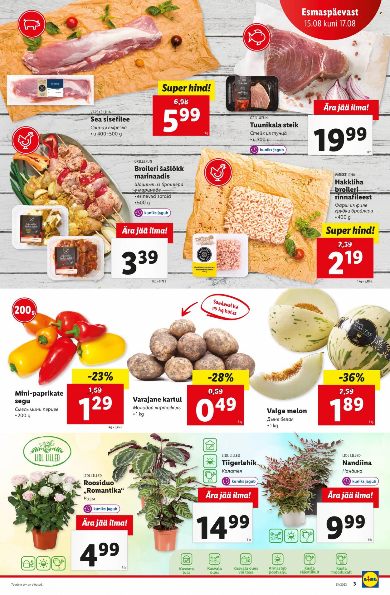 Lidl kliendileht - 15.08.2022 - 21.08.2022. Lehekülg 3