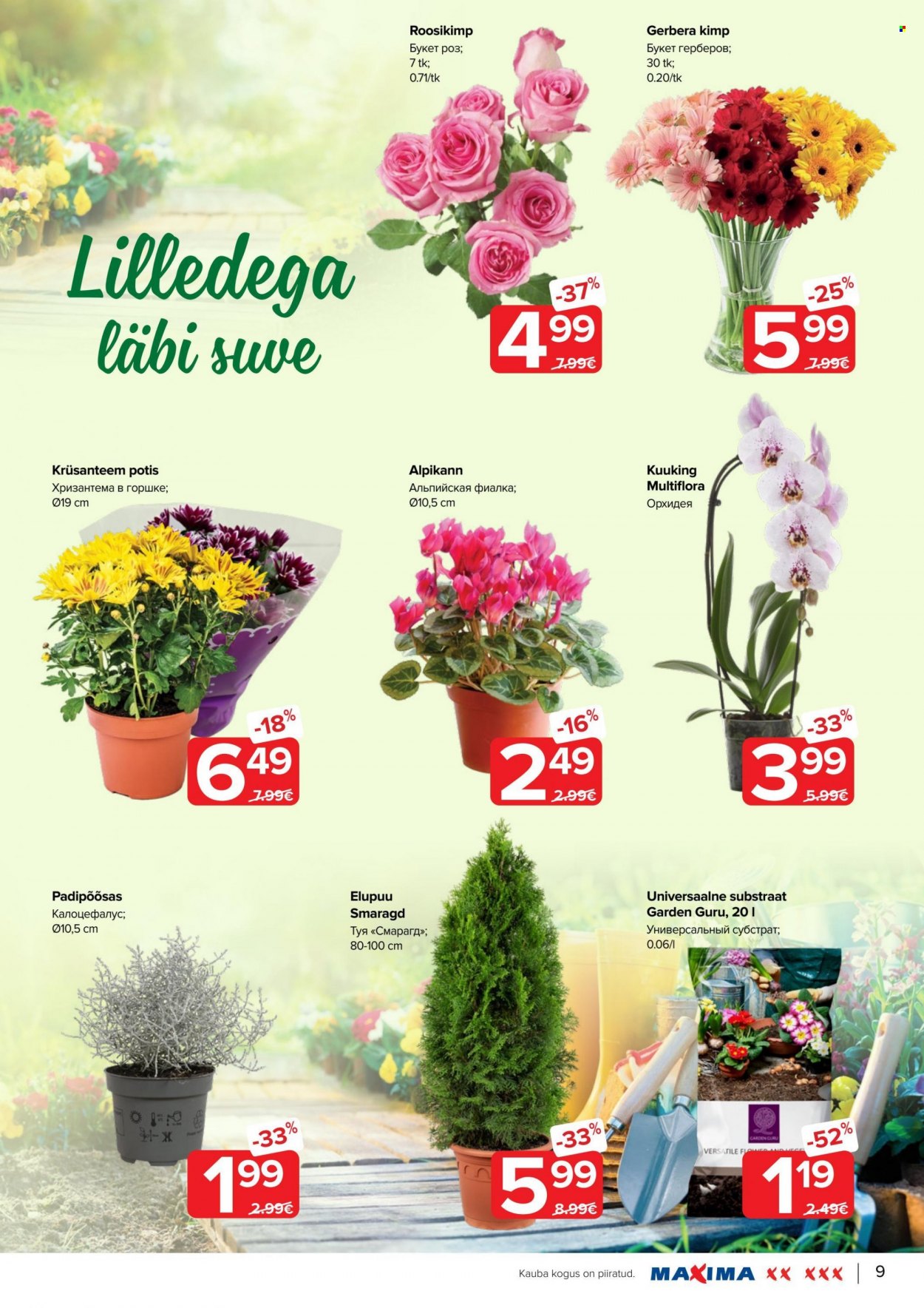 Maxima kliendileht - 18.08.2022 - 31.08.2022. Lehekülg 9