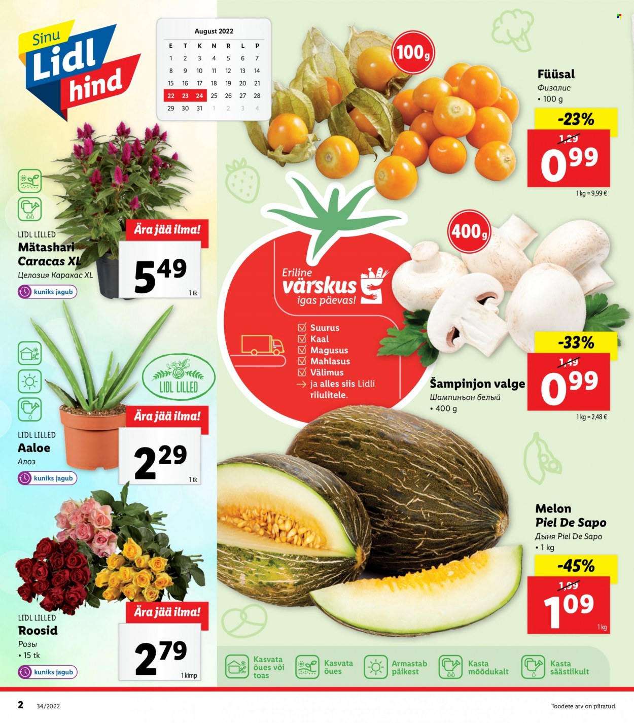 Lidl kliendileht - 22.08.2022 - 28.08.2022. Lehekülg 2