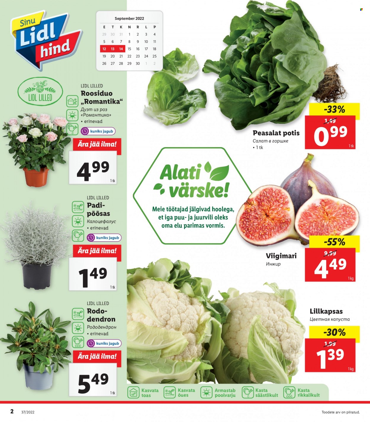 Lidl kliendileht - 12.09.2022 - 18.09.2022. Lehekülg 2