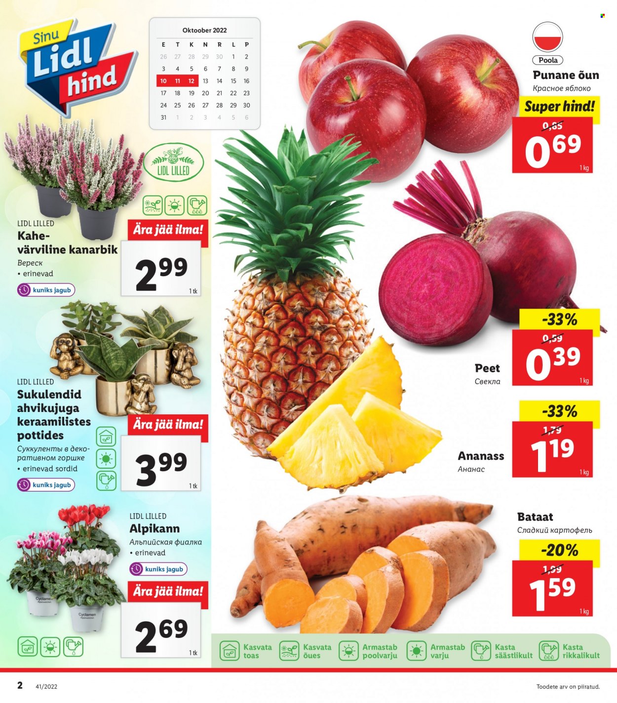 Lidl kliendileht - 10.10.2022 - 16.10.2022. Lehekülg 2