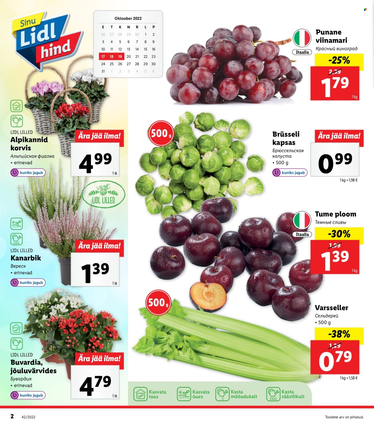 Lidl kliendileht - 17.10.2022 - 23.10.2022. Lehekülg 2