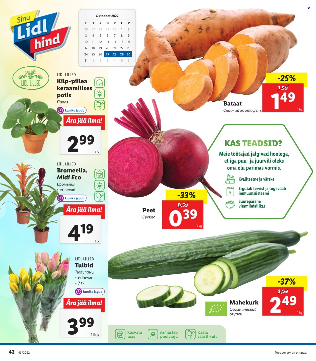 Lidl kliendileht - 24.10.2022 - 30.10.2022. Lehekülg 42