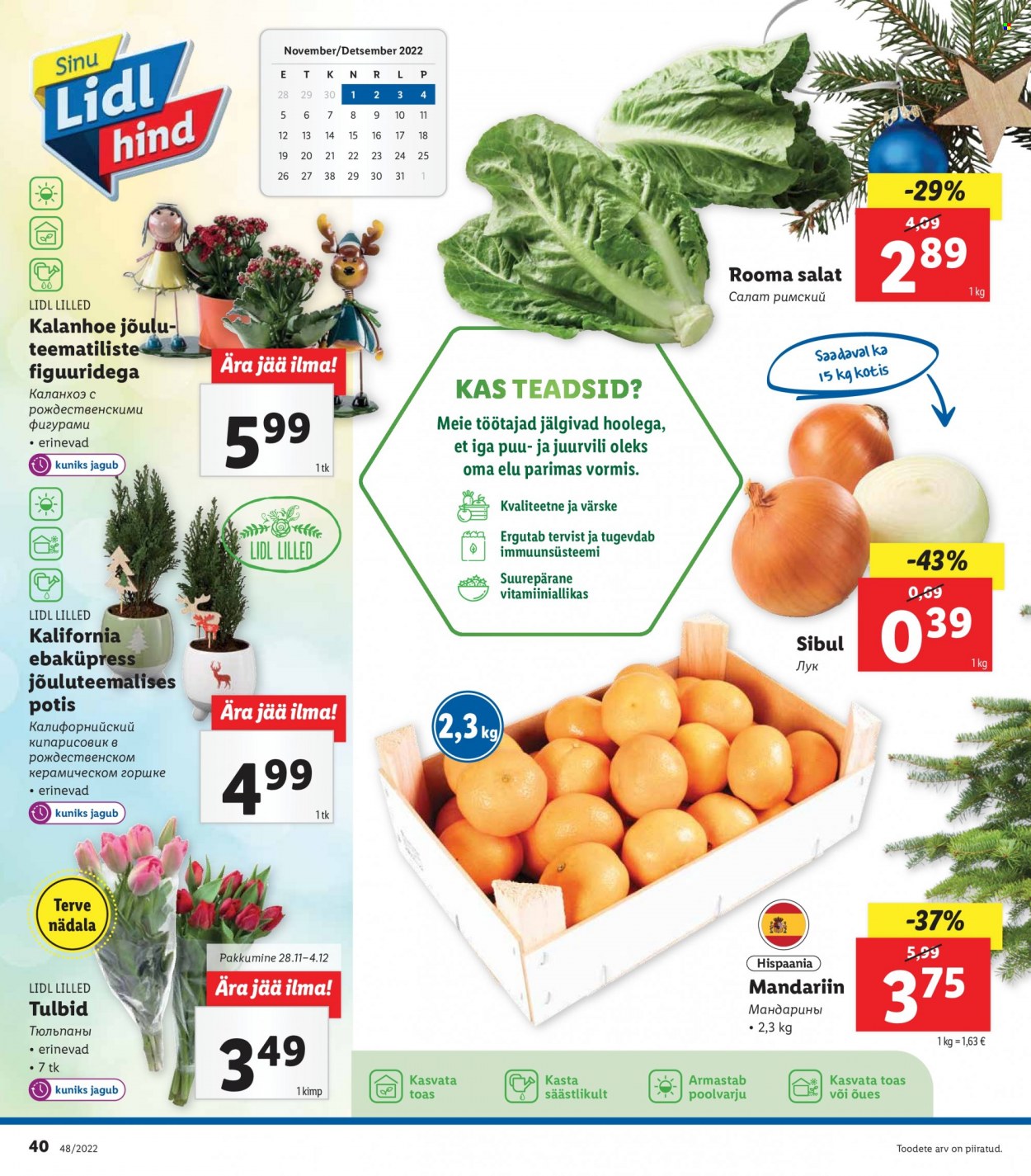 Lidl kliendileht - 28.11.2022 - 04.12.2022. Lehekülg 40