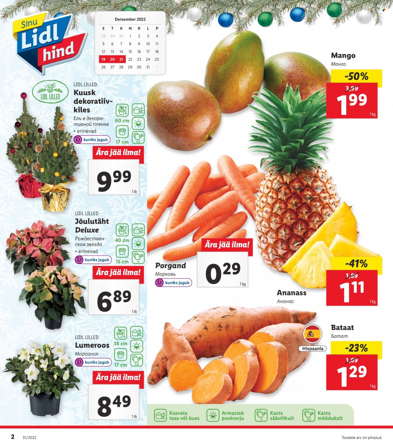 Lidl kliendileht - 17.12.2022 - 25.12.2022. Lehekülg 2