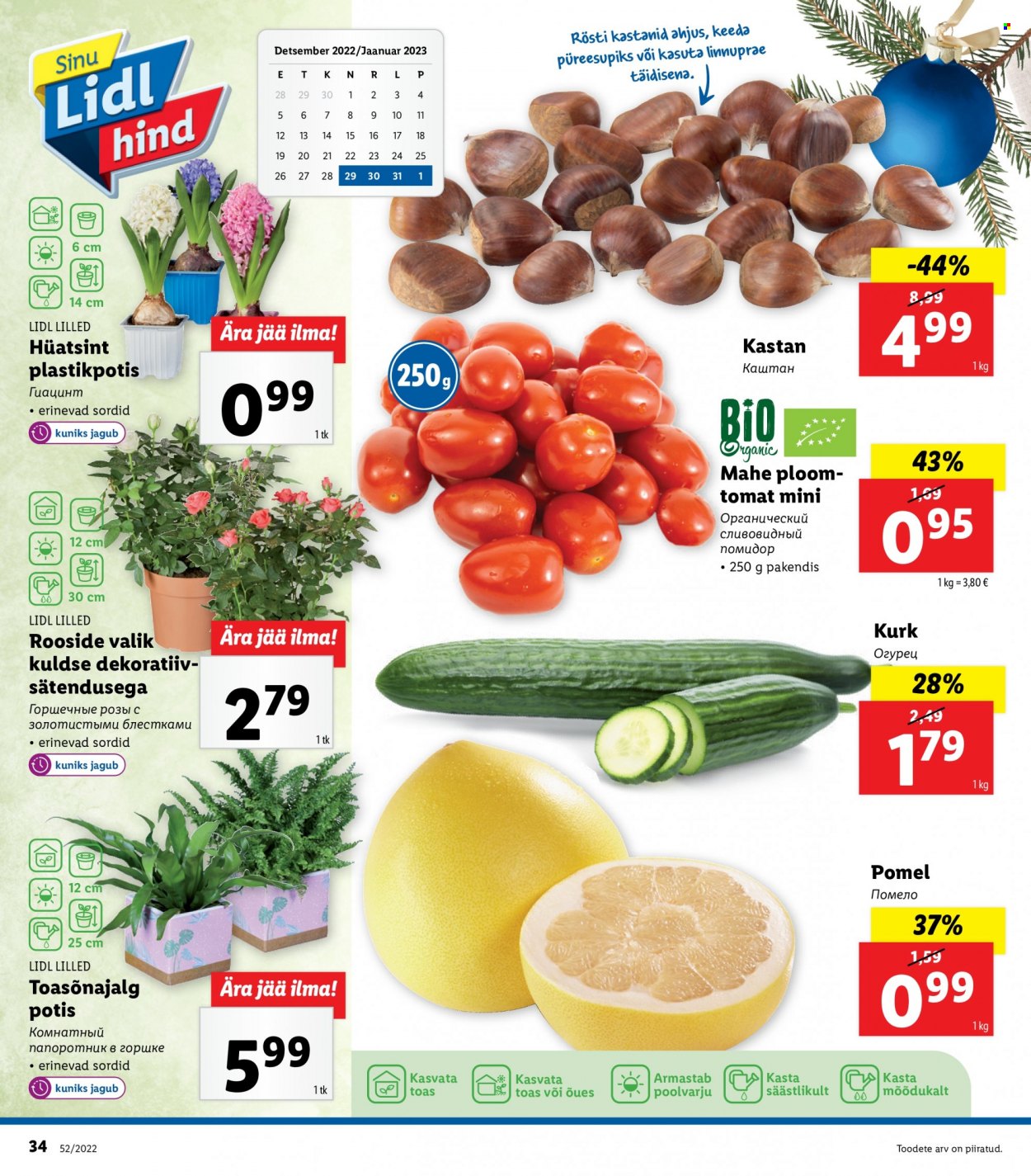 Lidl kliendileht - 26.12.2022 - 01.01.2023. Lehekülg 34