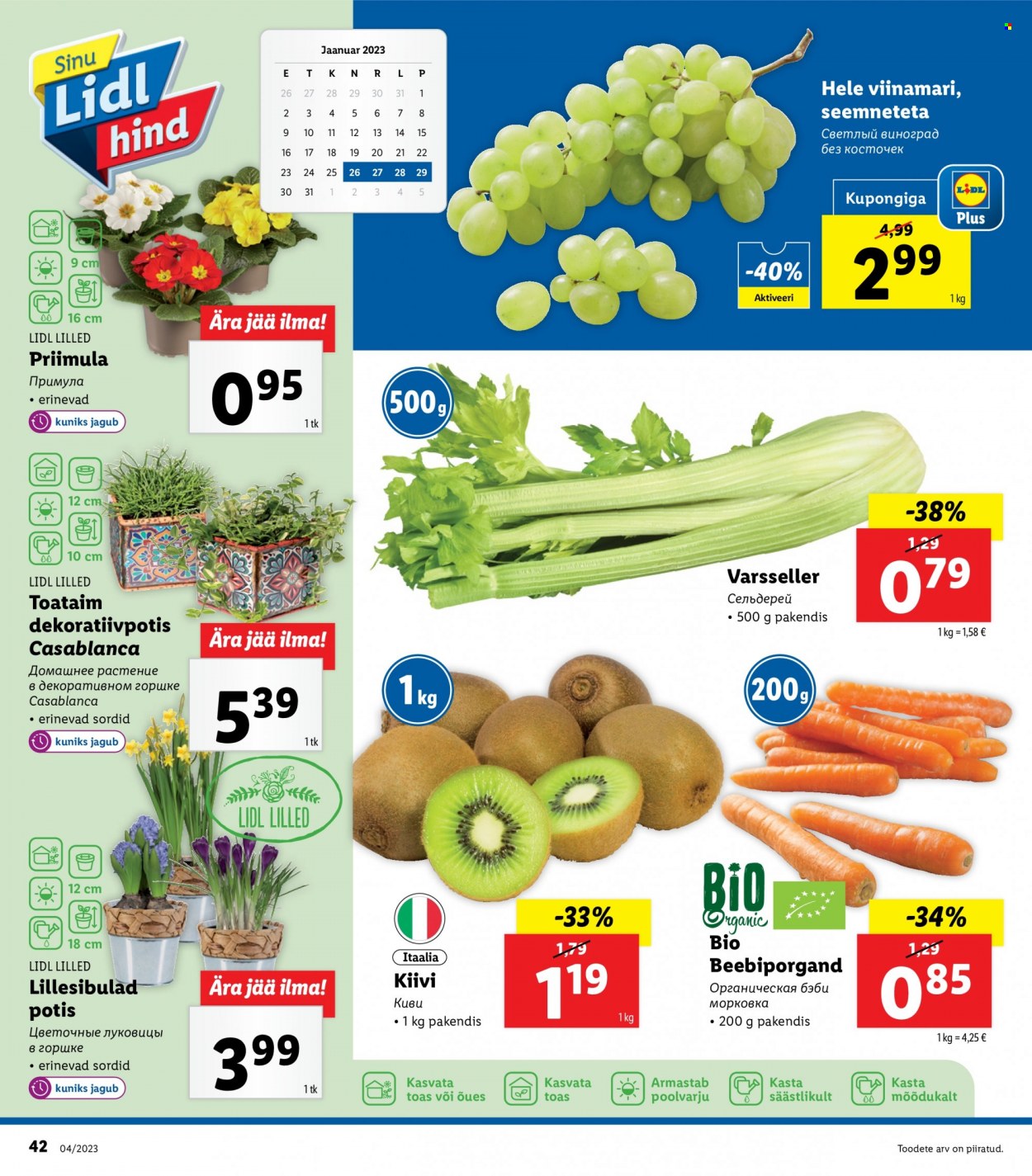 Lidl kliendileht - 23.01.2023 - 29.01.2023. Lehekülg 42