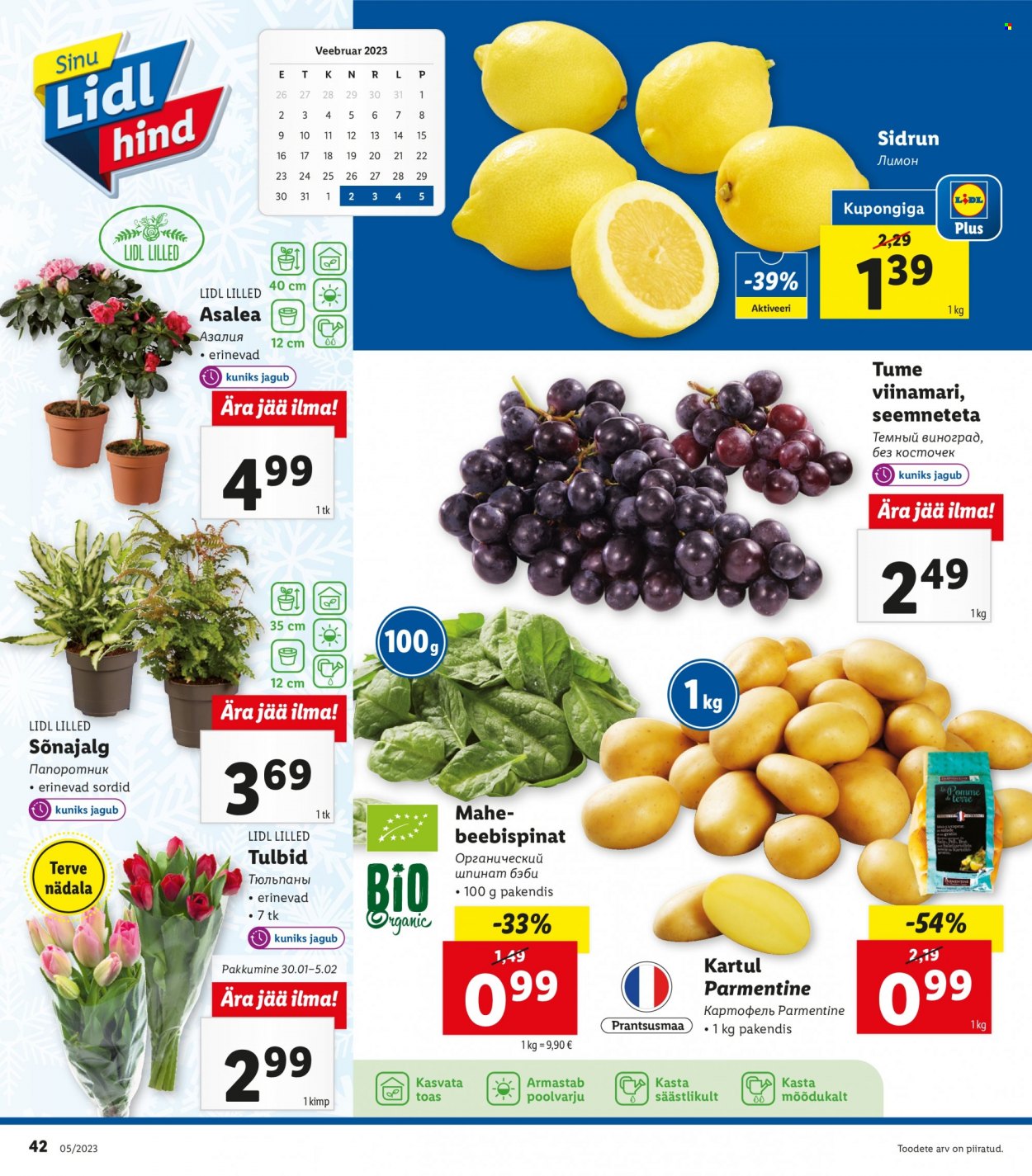 Lidl kliendileht - 30.01.2023 - 05.02.2023. Lehekülg 42