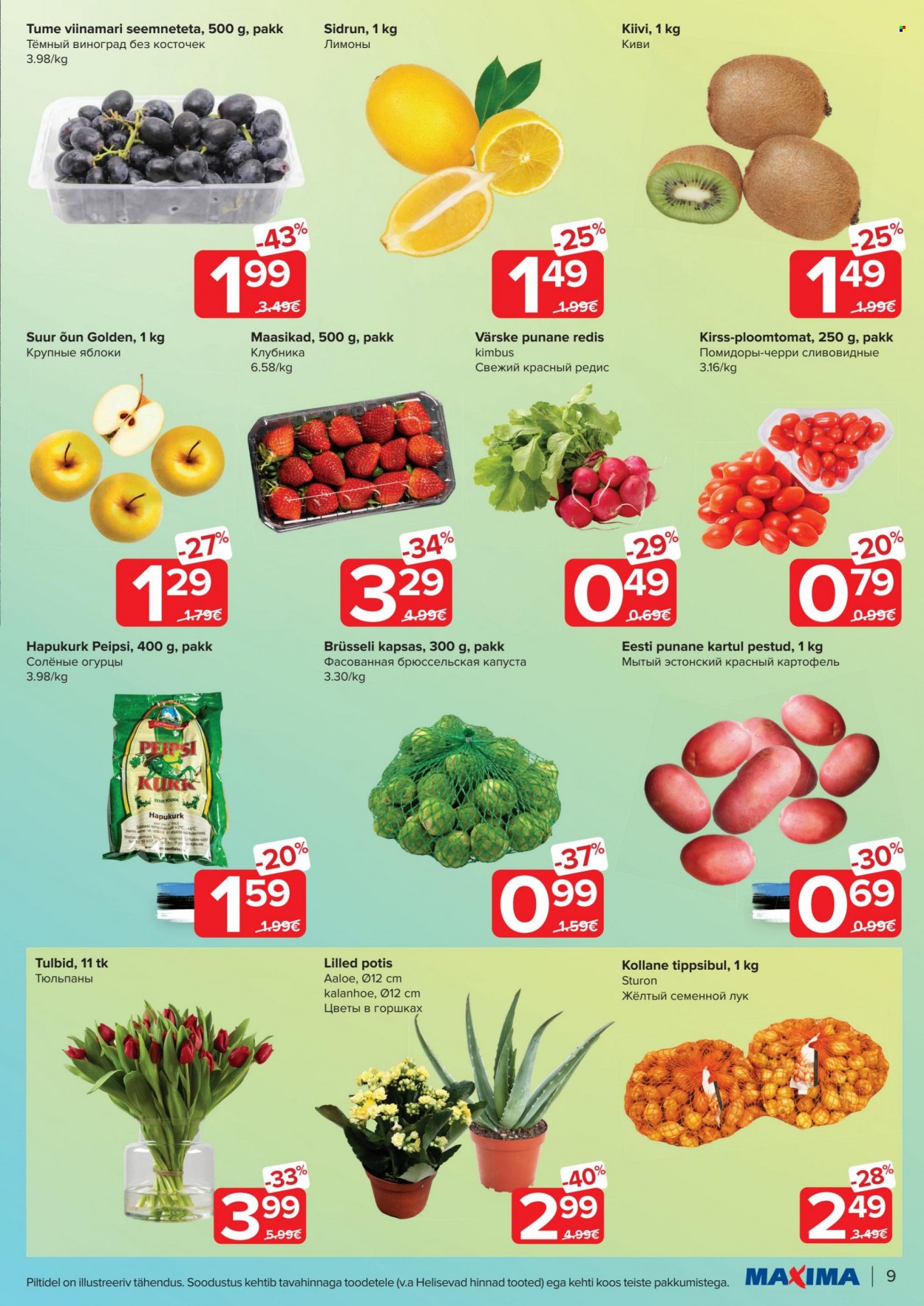 Maxima kliendileht - 31.01.2023 - 06.02.2023. Lehekülg 9
