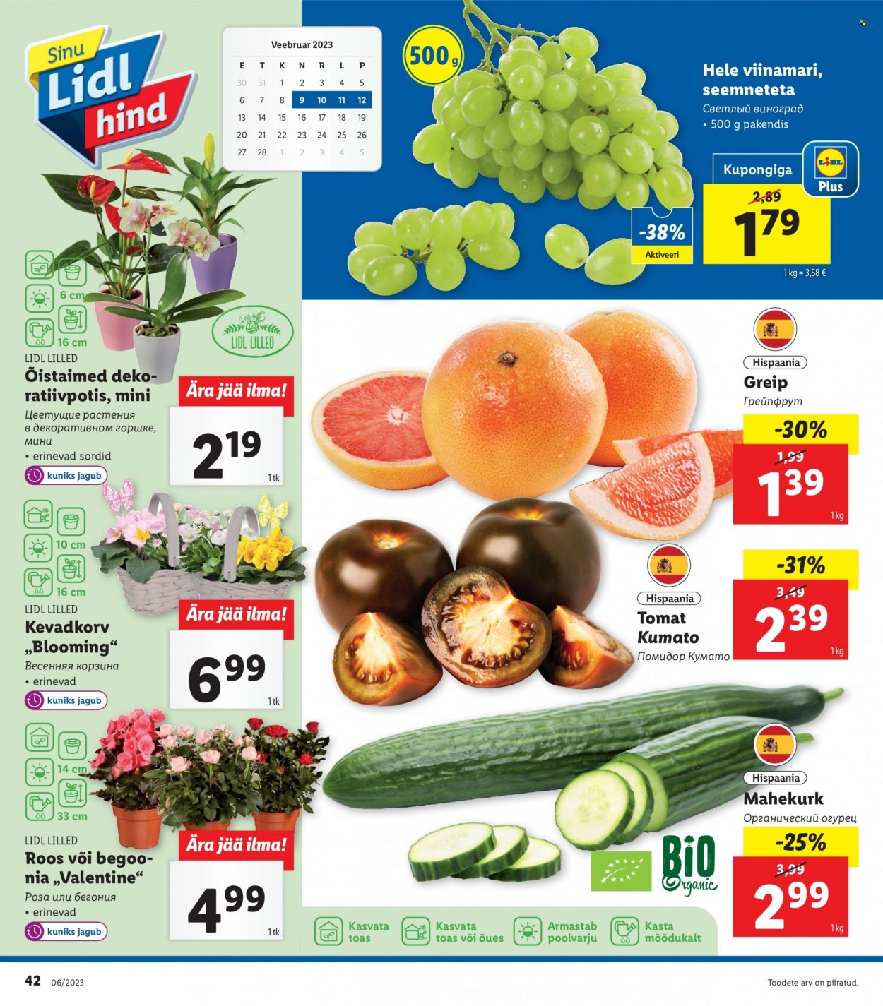 Lidl kliendileht - 06.02.2023 - 12.02.2023. Lehekülg 42