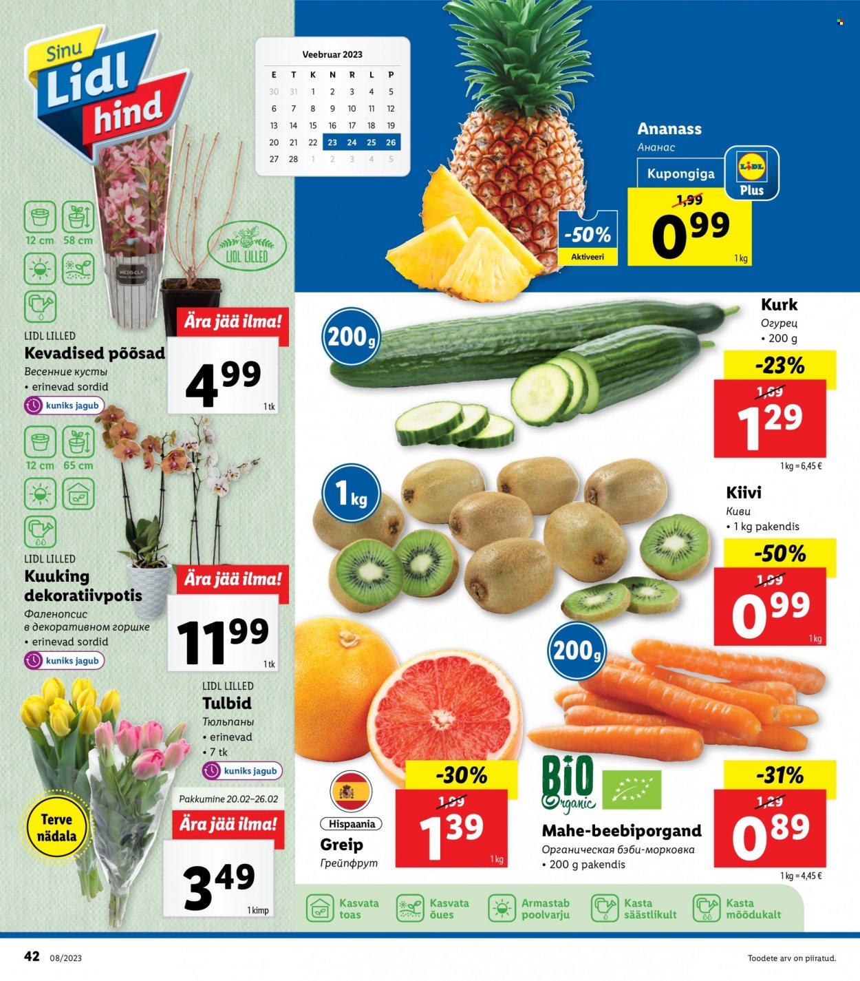 Lidl kliendileht - 20.02.2023 - 26.02.2023. Lehekülg 42