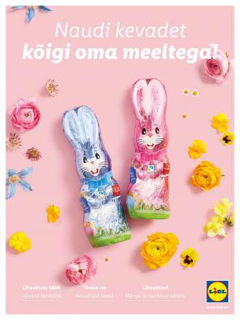 Kaupluse Lidl kliendileht.