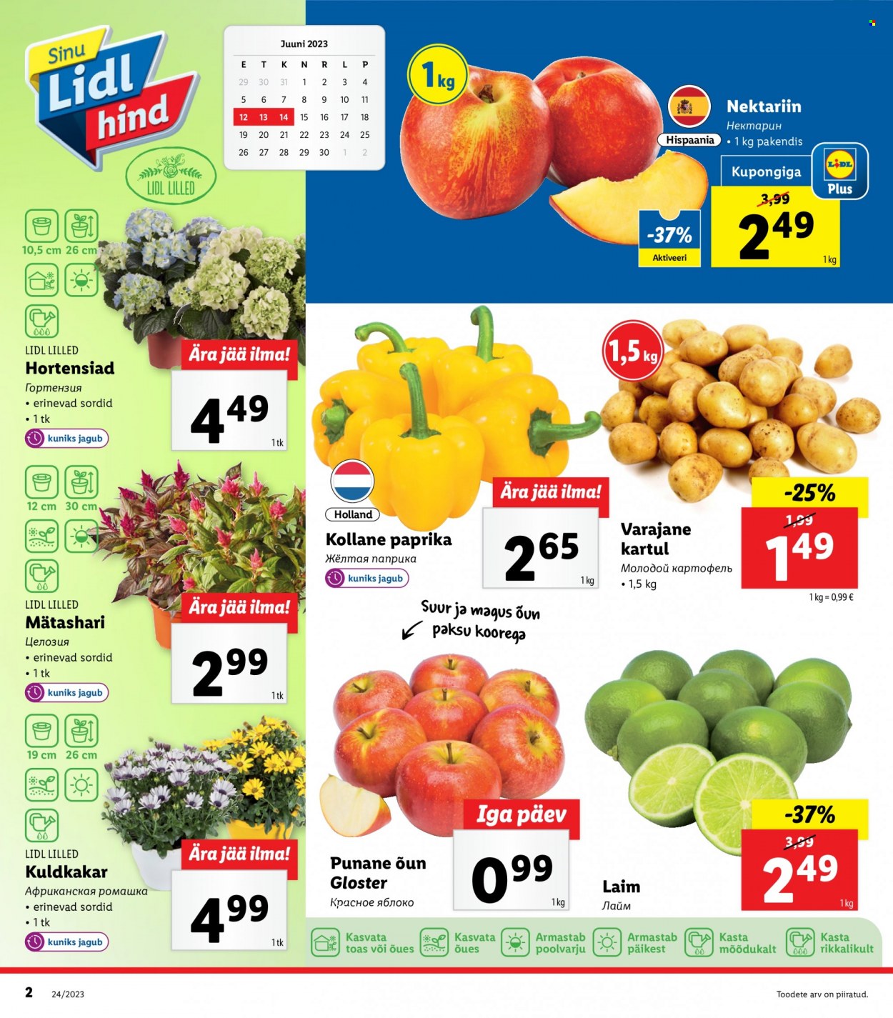Lidl kliendileht - 12.06.2023 - 18.06.2023. Lehekülg 2