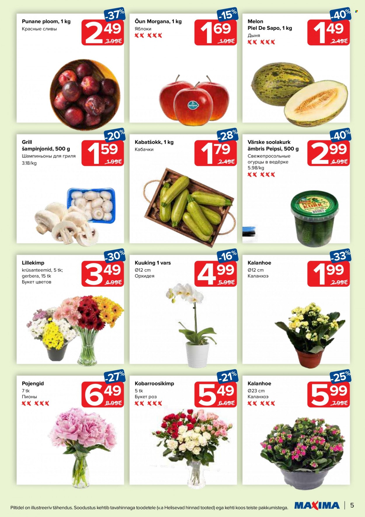 Maxima kliendileht - 20.06.2023 - 26.06.2023. Lehekülg 5