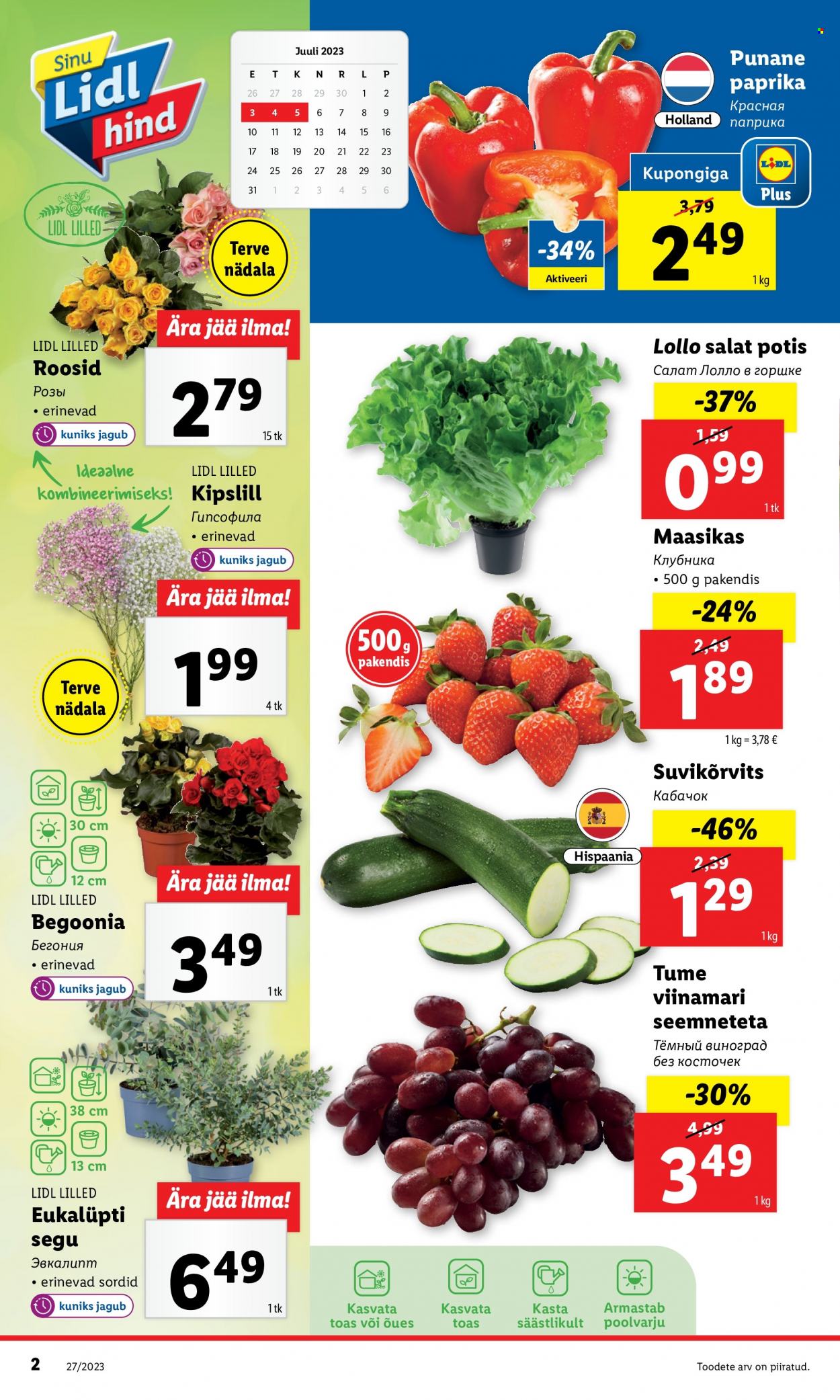 Lidl kliendileht - 03.07.2023 - 09.07.2023. Lehekülg 2