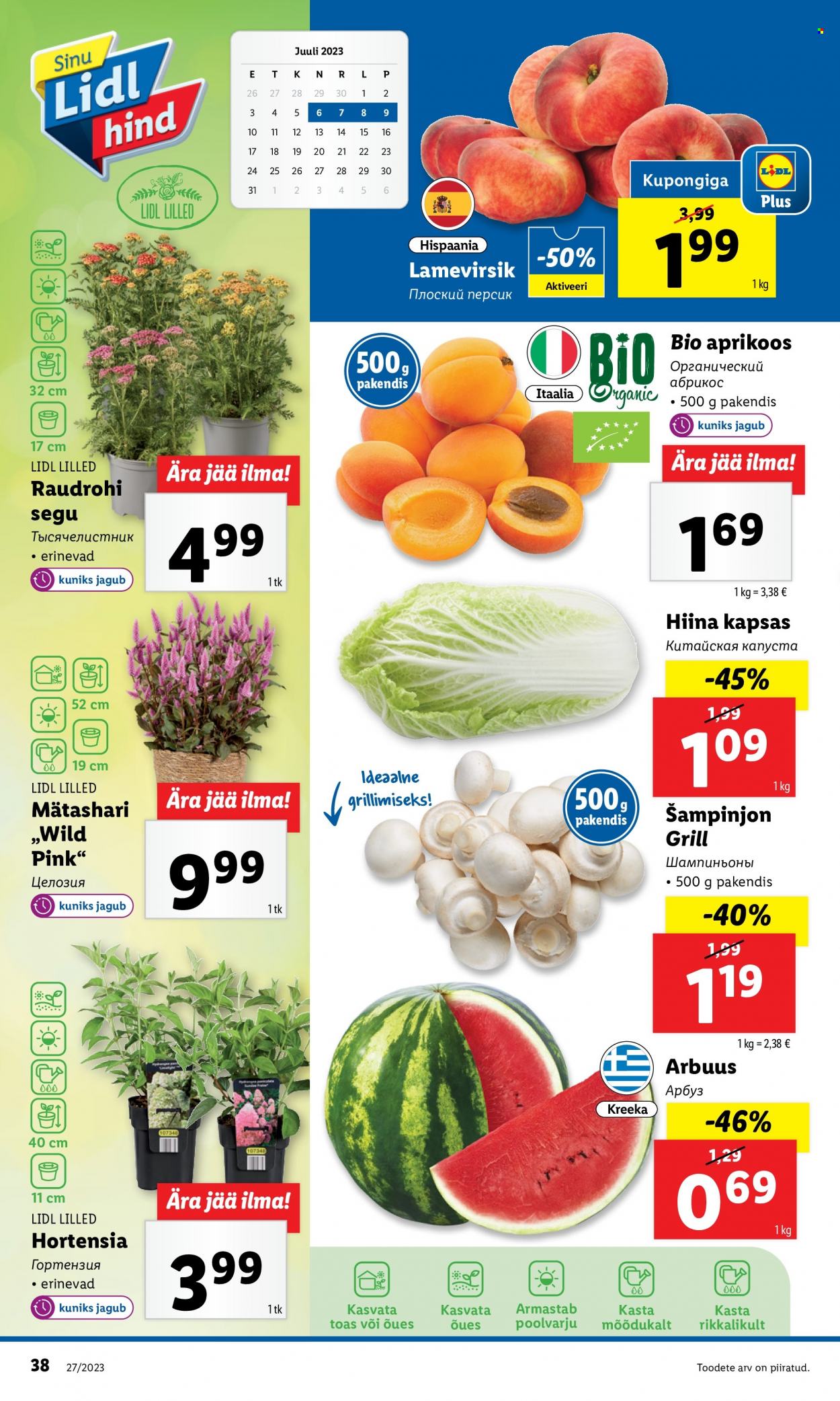 Lidl kliendileht - 03.07.2023 - 09.07.2023. Lehekülg 38