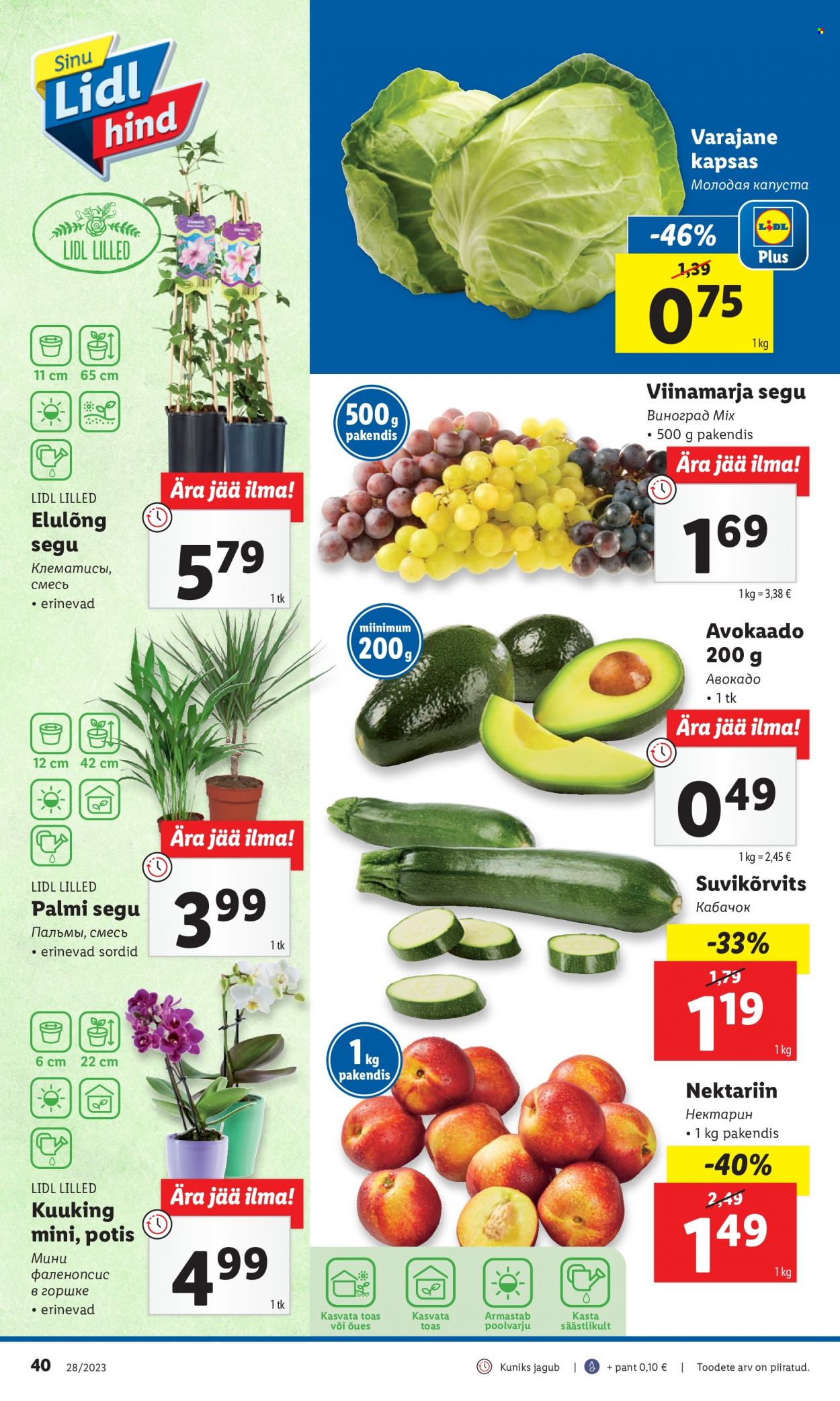 Lidl kliendileht - 10.07.2023 - 16.07.2023. Lehekülg 40