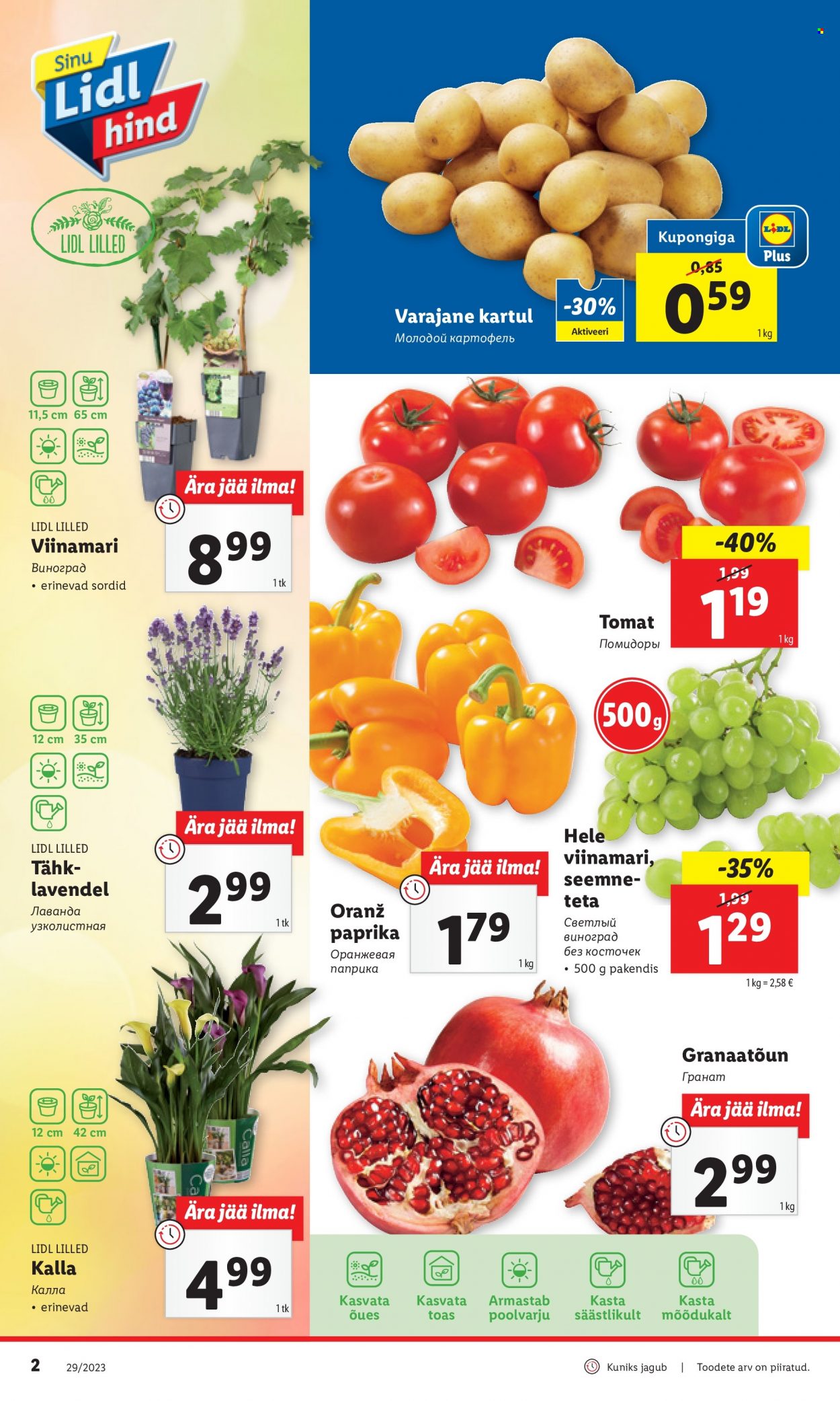 Lidl kliendileht - 17.07.2023 - 23.07.2023. Lehekülg 2