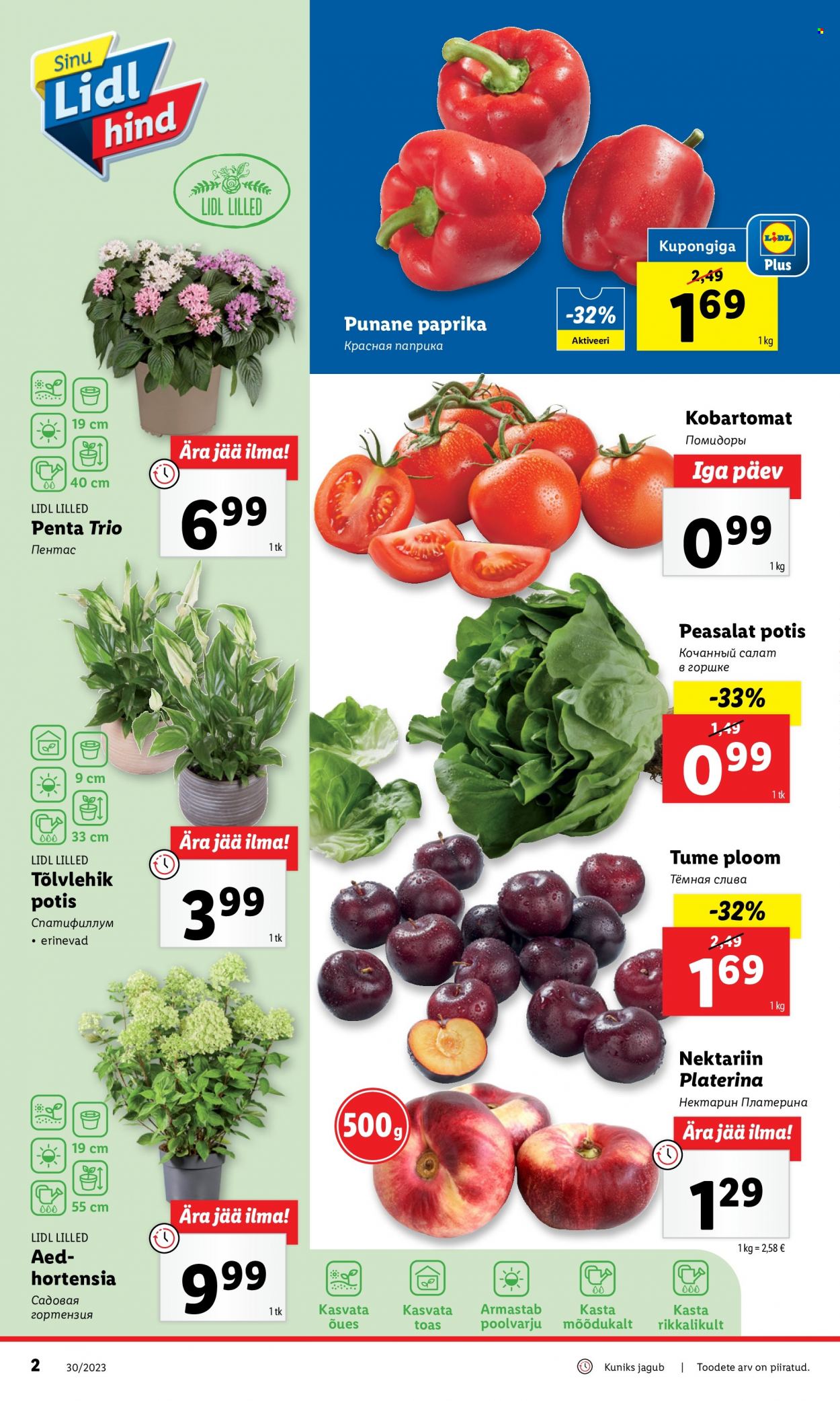 Lidl kliendileht - 24.07.2023 - 30.07.2023. Lehekülg 2