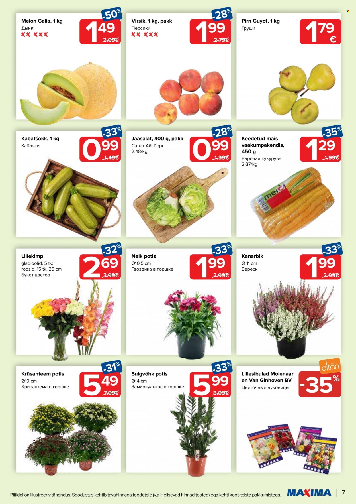 Maxima kliendileht - 15.08.2023 - 21.08.2023. Lehekülg 7