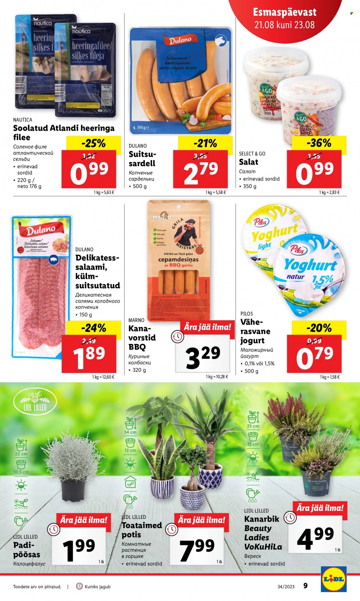 Lidl kliendileht - 21.08.2023 - 27.08.2023. Lehekülg 9