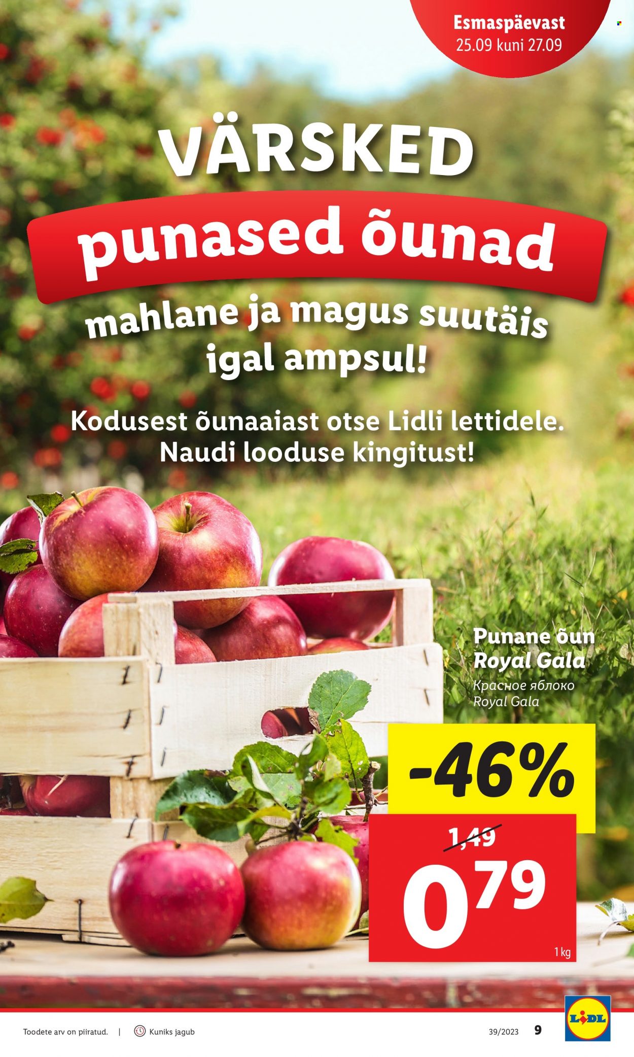 Lidl kliendileht - 25.09.2023 - 01.10.2023. Lehekülg 9