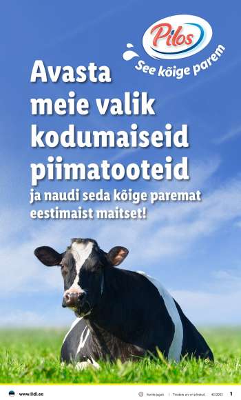 Kaupluse Lidl kliendileht.