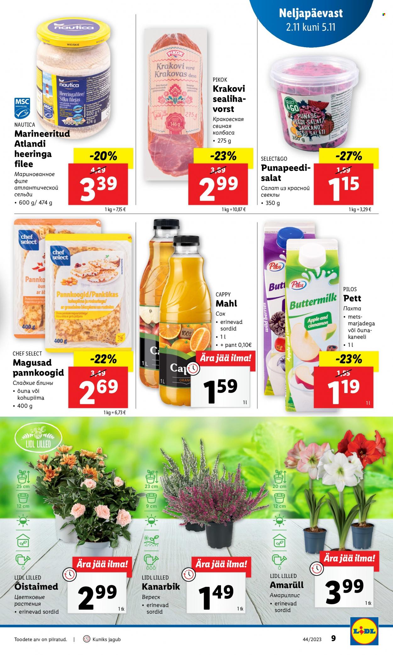Lidl kliendileht - 02.11.2023 - 05.11.2023. Lehekülg 9