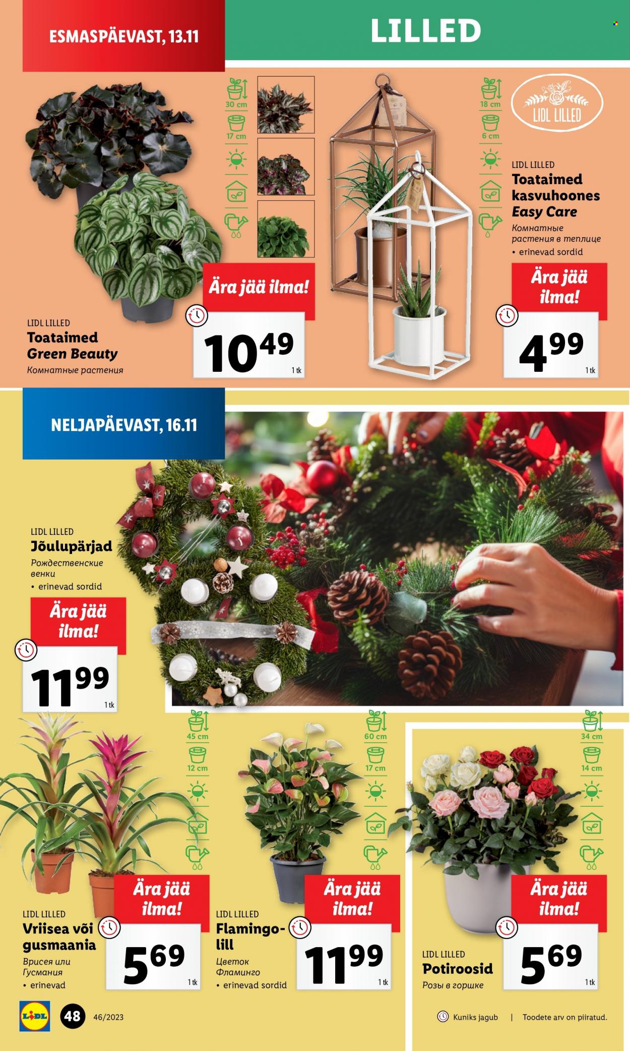 Lidl kliendileht - 13.11.2023 - 19.11.2023. Lehekülg 48
