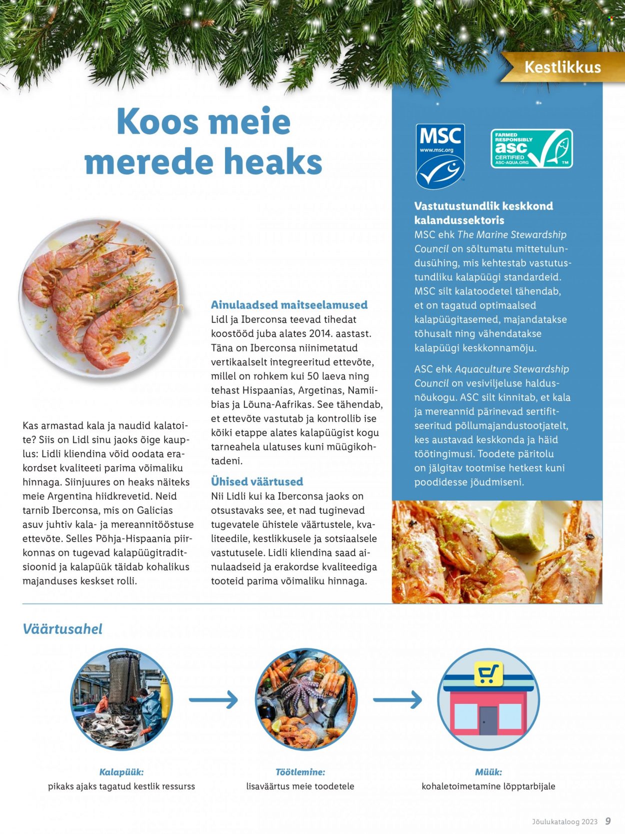 Lidl kliendileht. Lehekülg 9