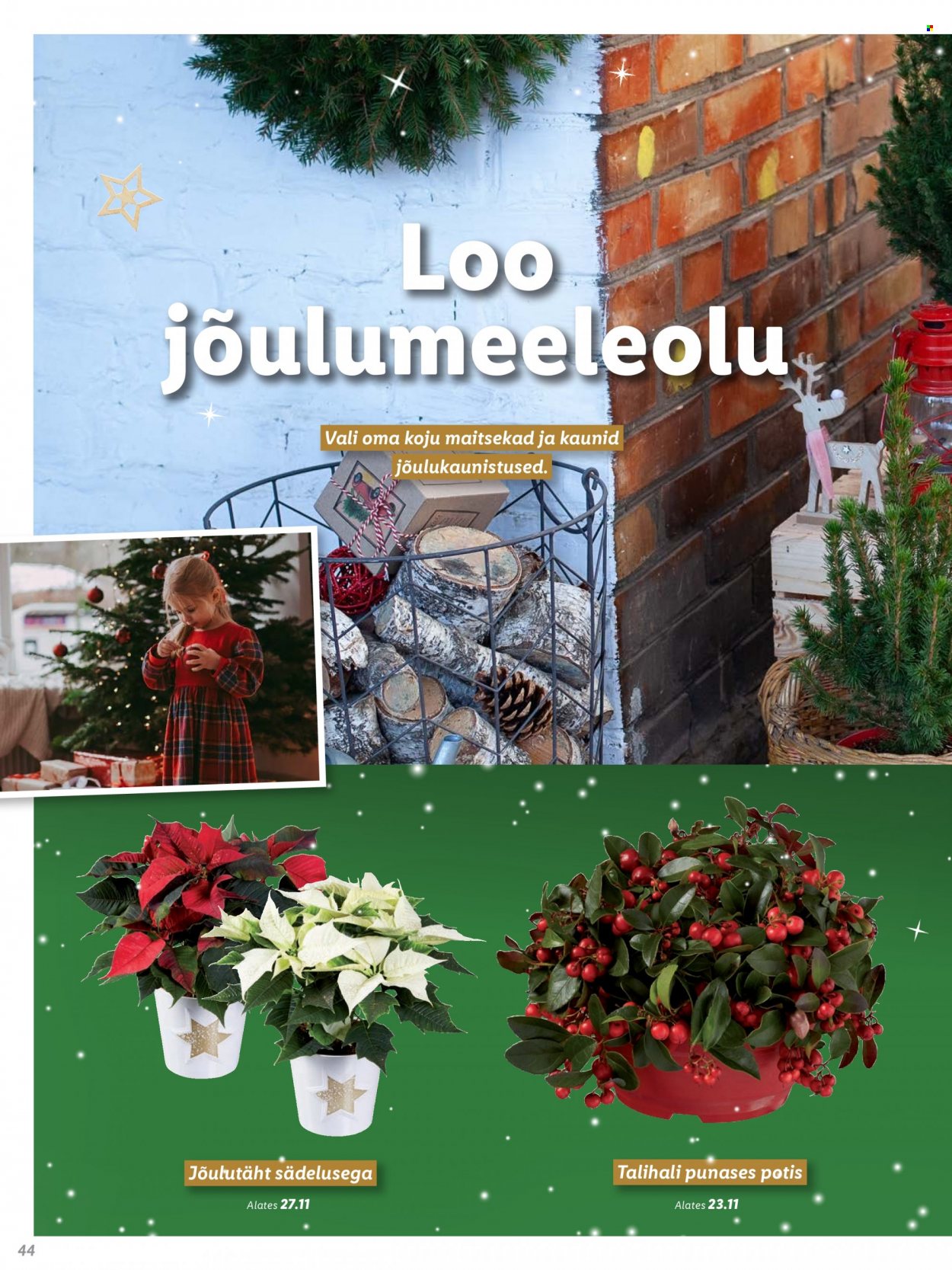Lidl kliendileht. Lehekülg 44
