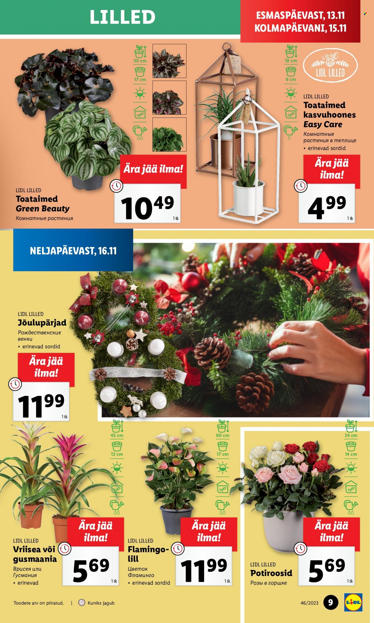 Lidl kliendileht - 16.11.2023 - 19.11.2023. Lehekülg 9