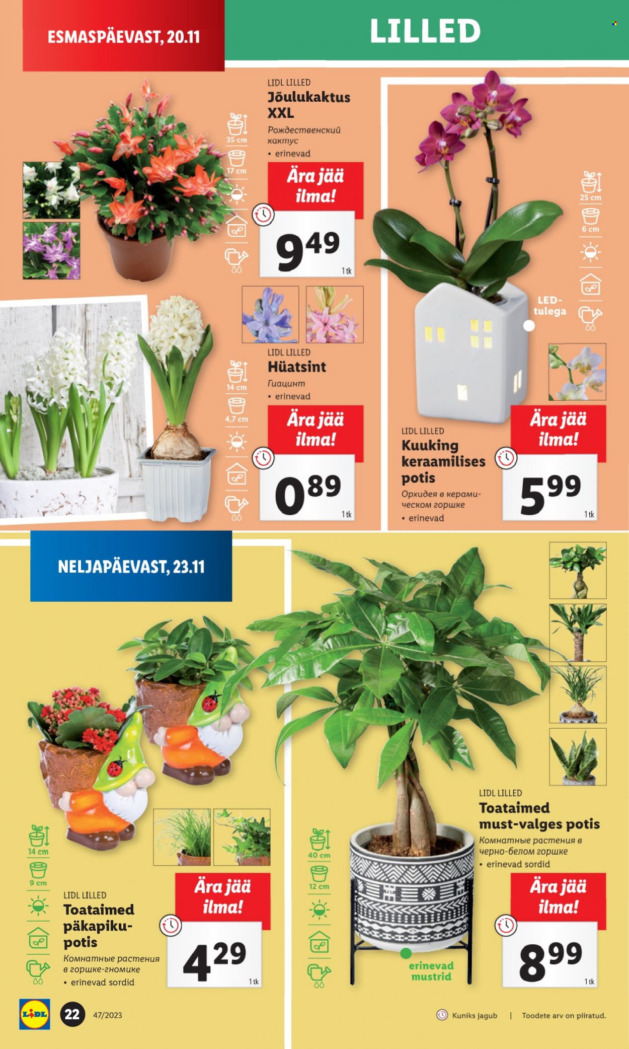 Lidl kliendileht - 22.11.2023 - 26.11.2023. Lehekülg 22