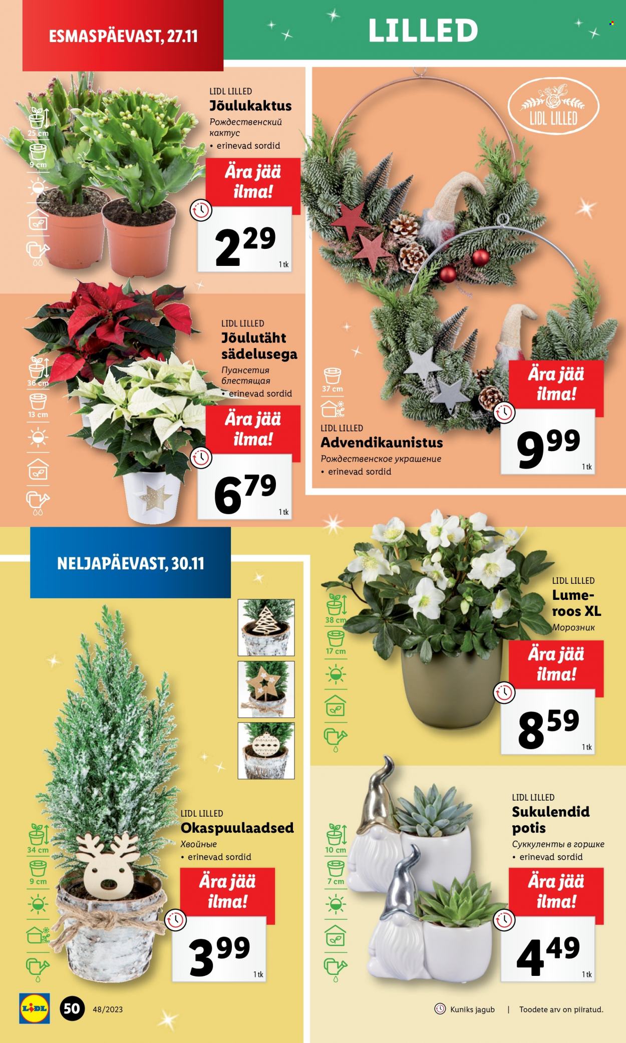 Lidl kliendileht - 27.11.2023 - 03.12.2023. Lehekülg 50