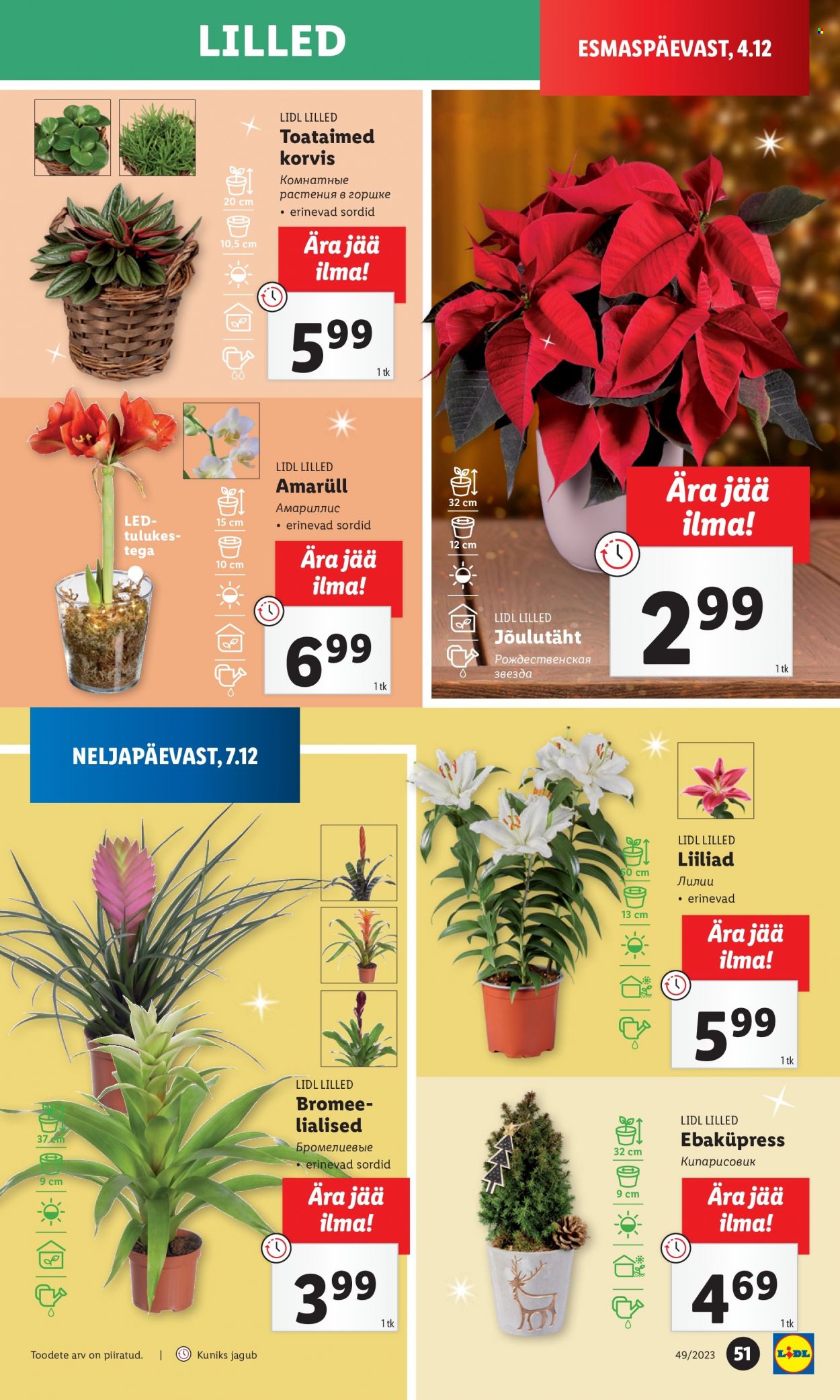 Lidl kliendileht - 04.12.2023 - 10.12.2023. Lehekülg 51