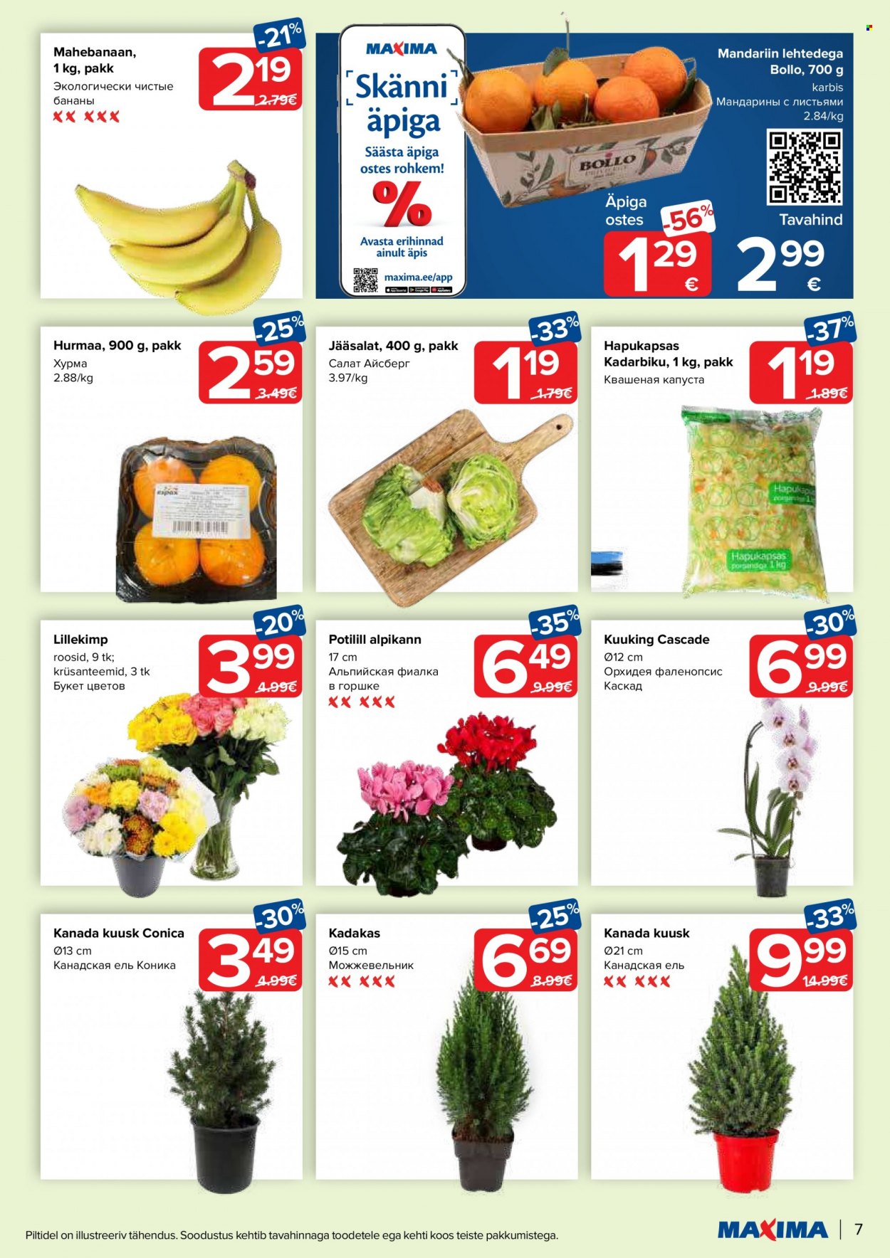 Maxima kliendileht - 05.12.2023 - 11.12.2023. Lehekülg 7