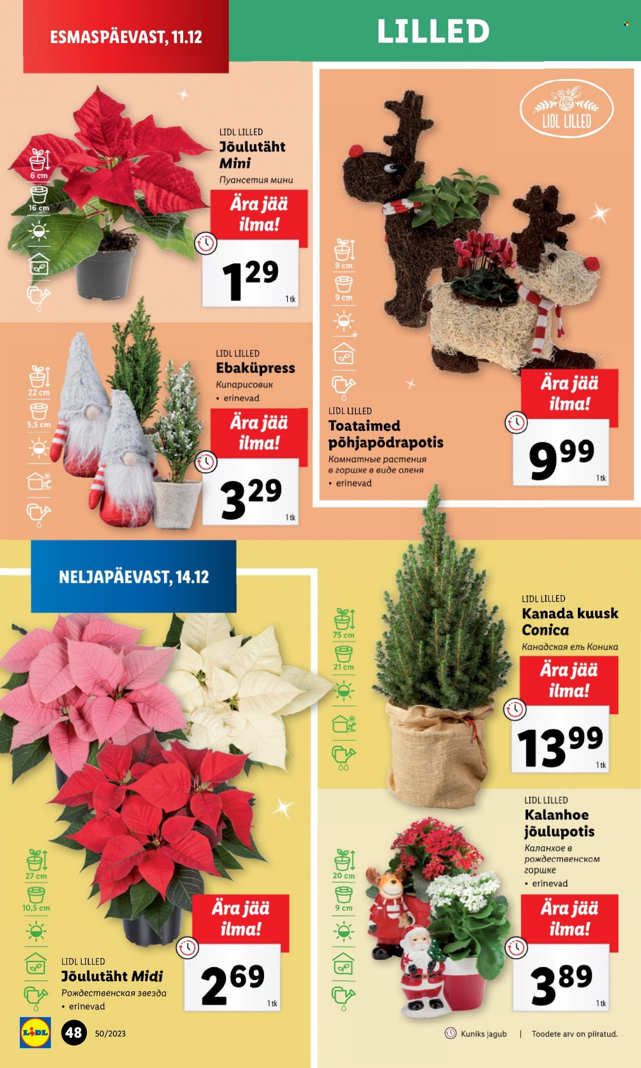 Lidl kliendileht - 14.12.2023 - 17.12.2023. Lehekülg 48