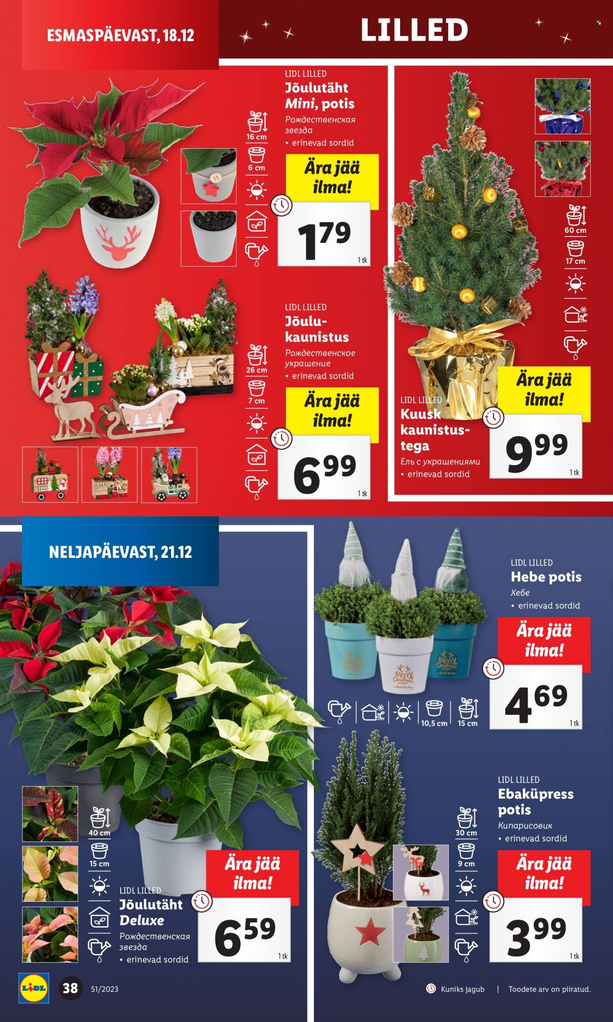 Lidl kliendileht - 21.12.2023 - 24.12.2023. Lehekülg 38