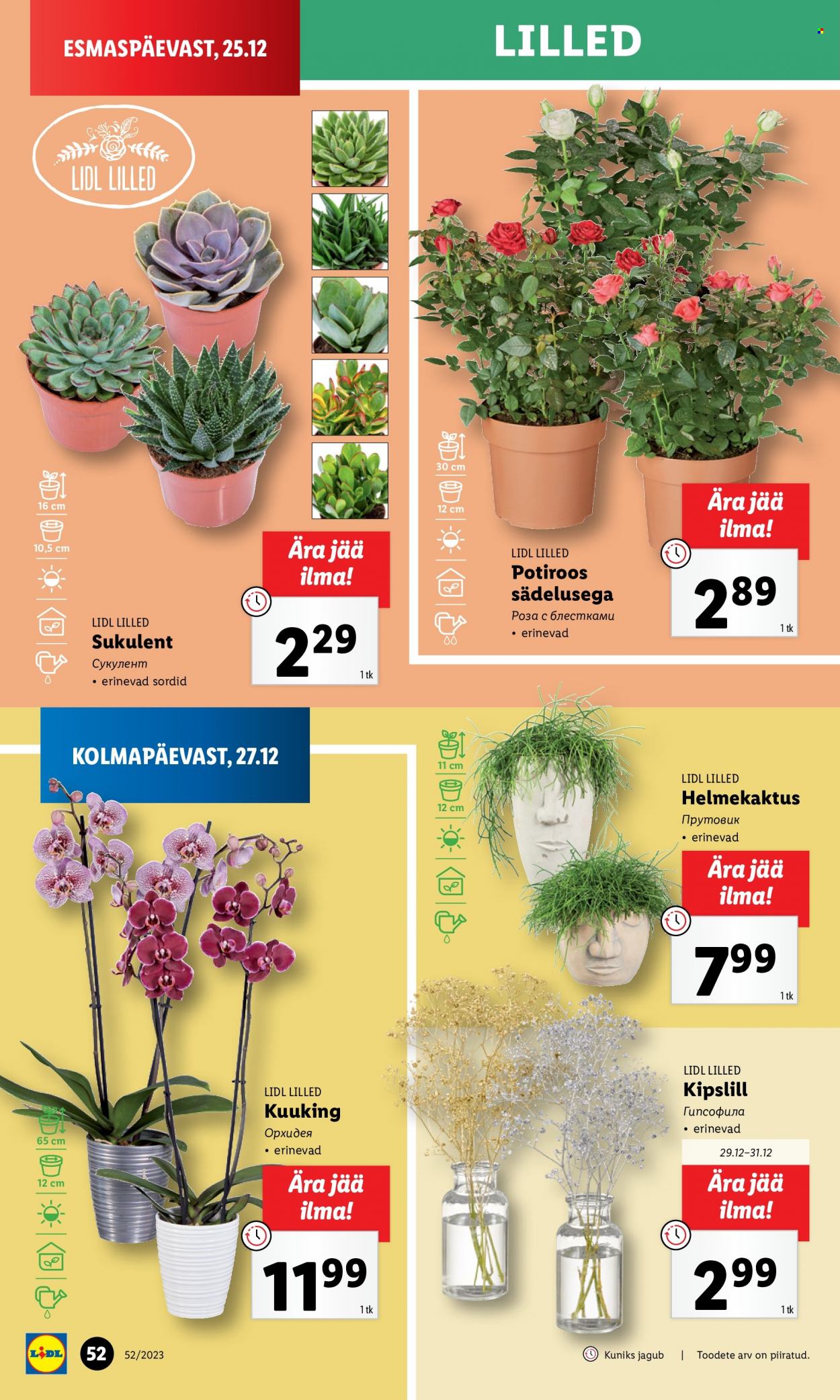 Lidl kliendileht - 27.12.2023 - 31.12.2023. Lehekülg 52