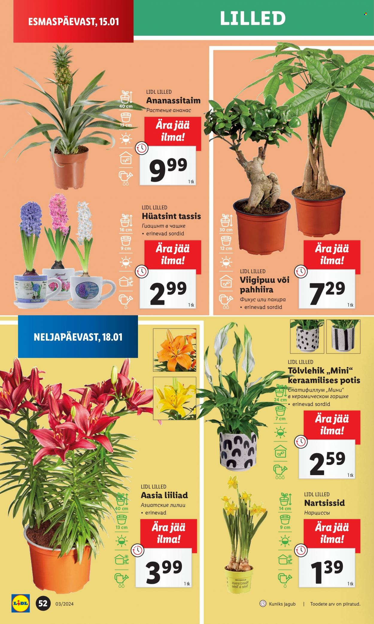 Lidl kliendileht - 15.01.2024 - 21.01.2024. Lehekülg 52
