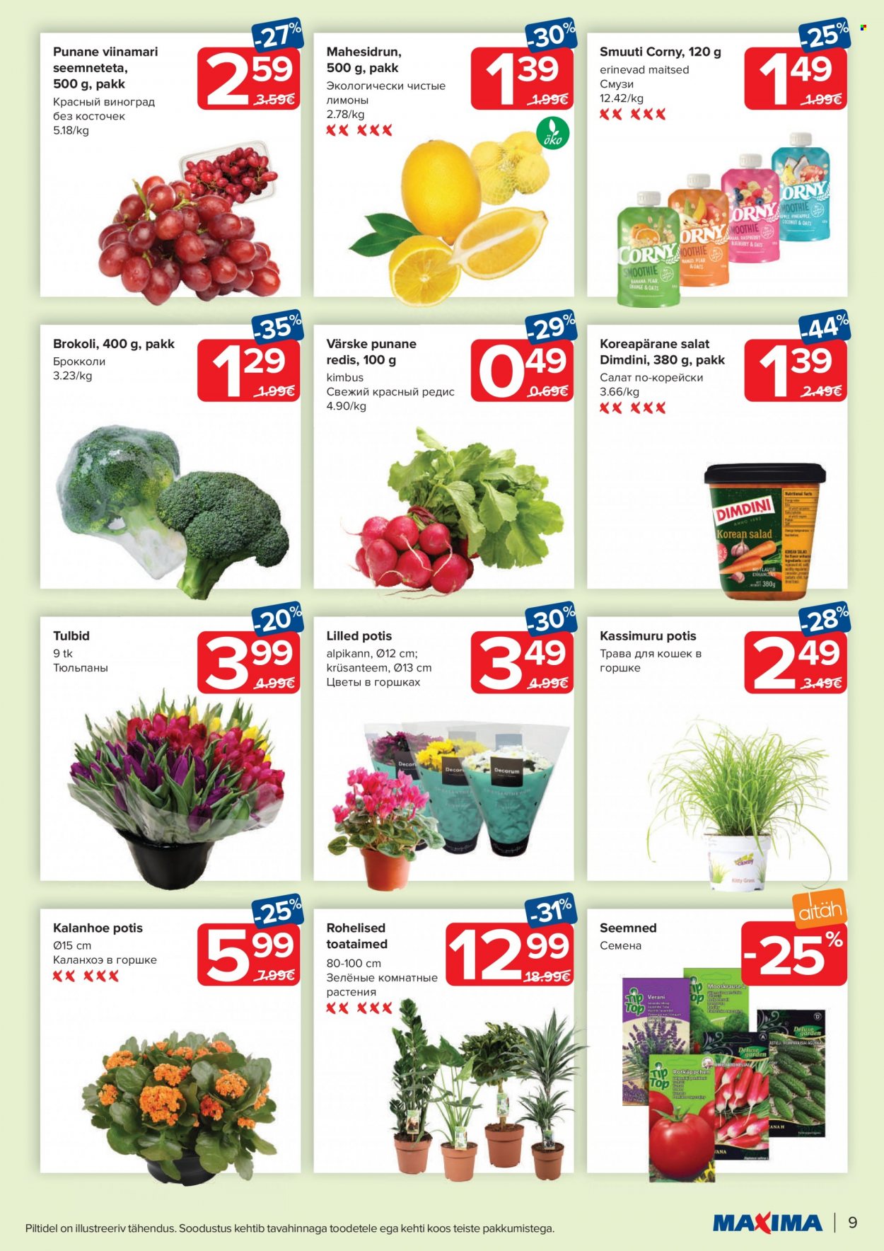 Maxima kliendileht - 23.01.2024 - 29.01.2024. Lehekülg 9