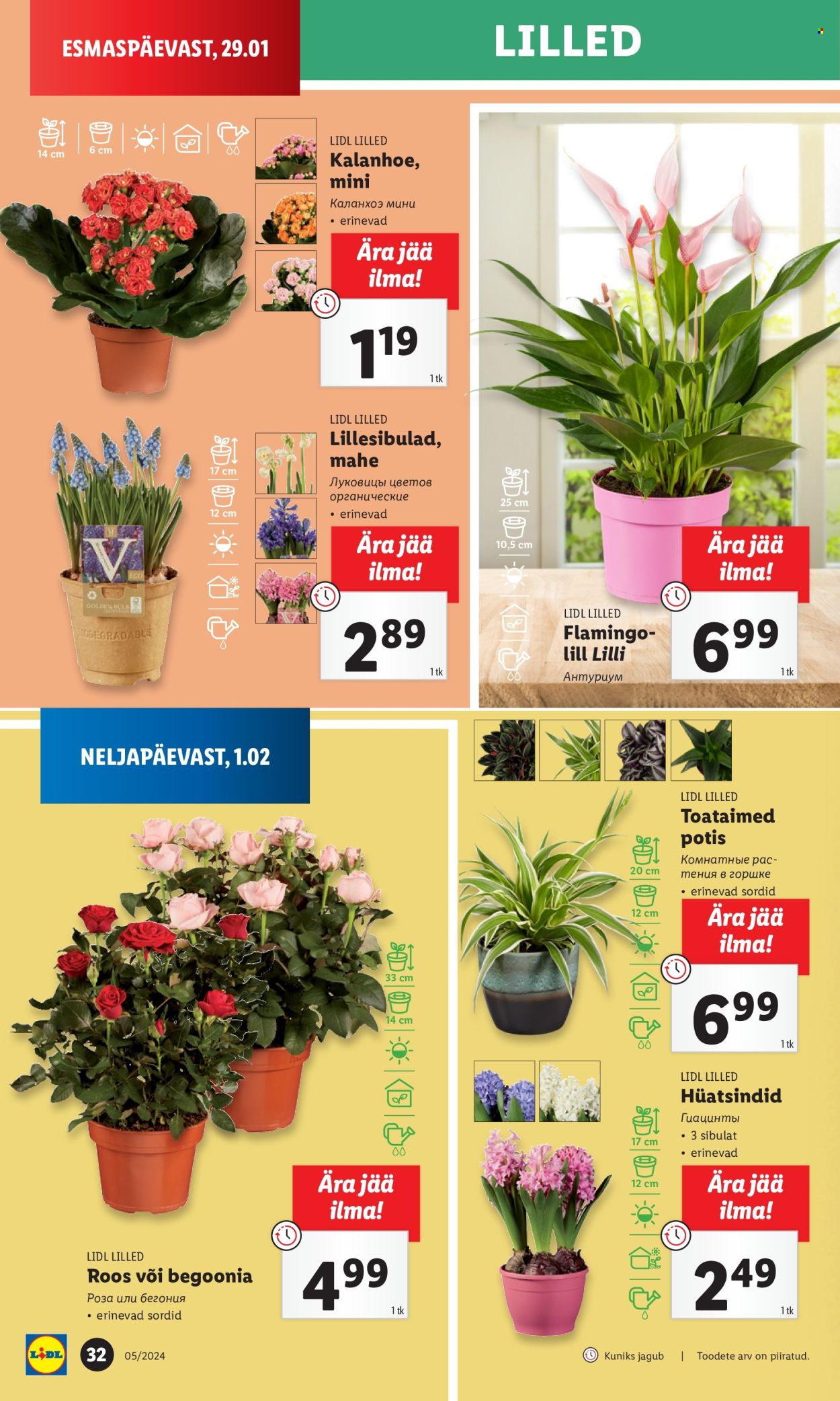Lidl kliendileht - 29.01.2024 - 04.02.2024. Lehekülg 32