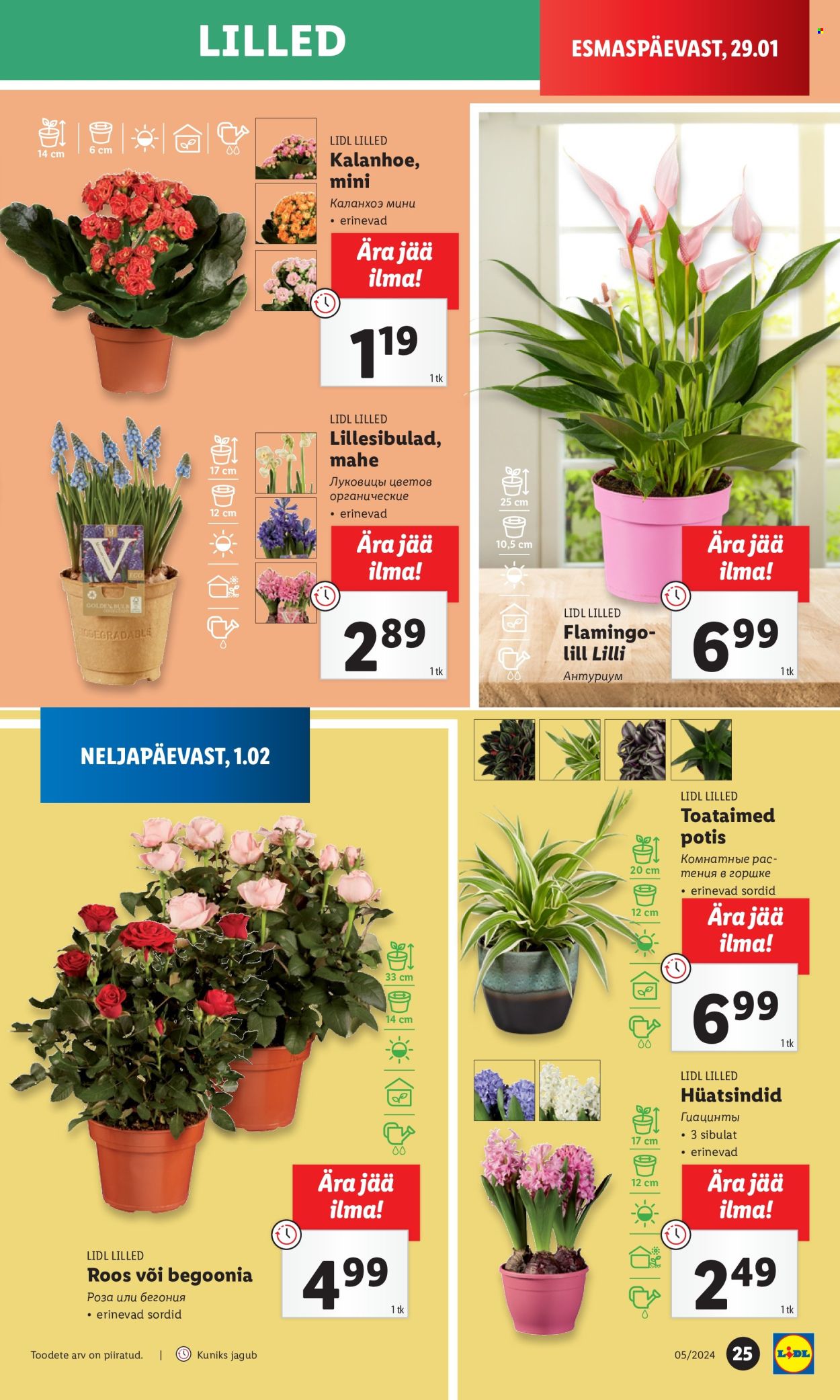 Lidl kliendileht - 01.02.2024 - 04.02.2024. Lehekülg 25