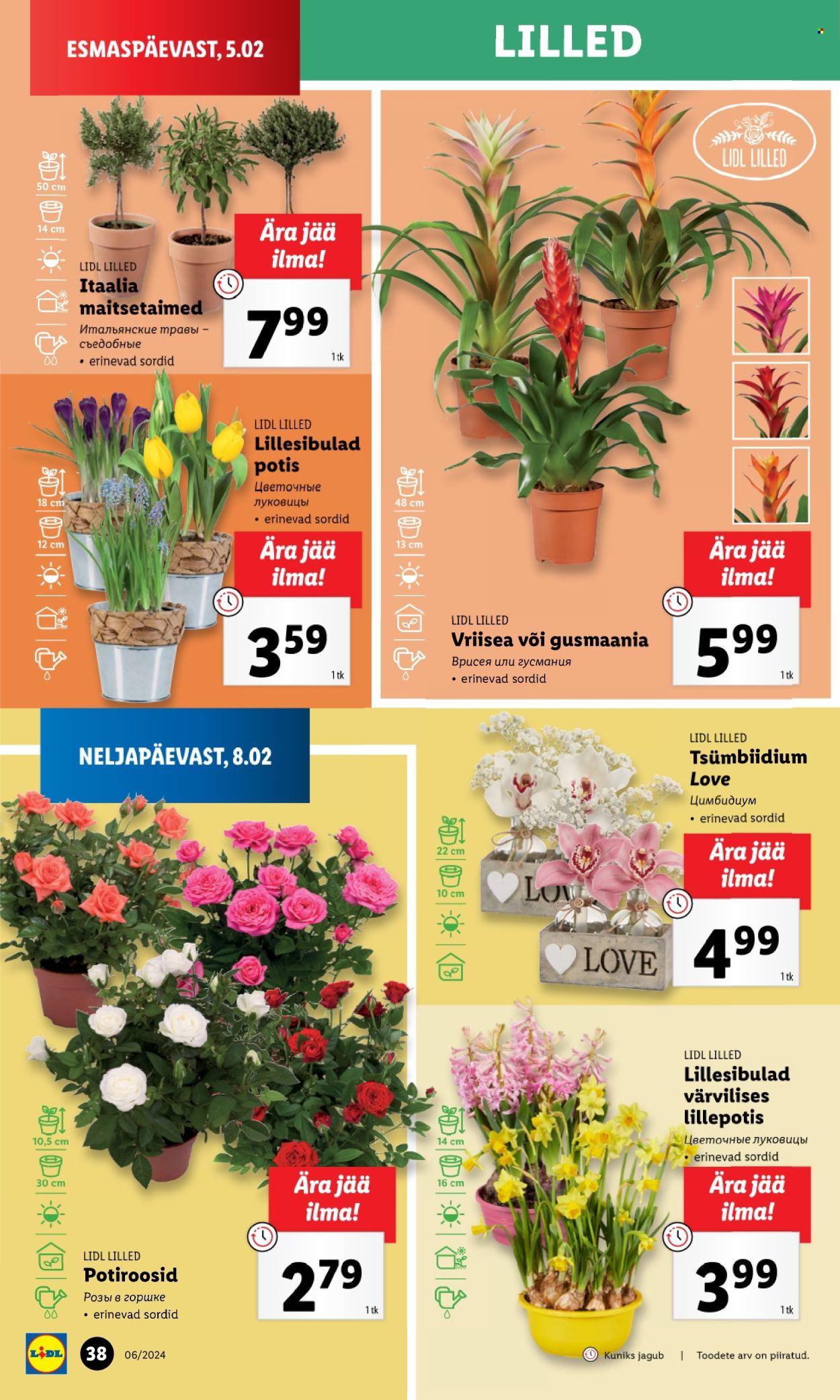 Lidl kliendileht - 05.02.2024 - 11.02.2024. Lehekülg 38