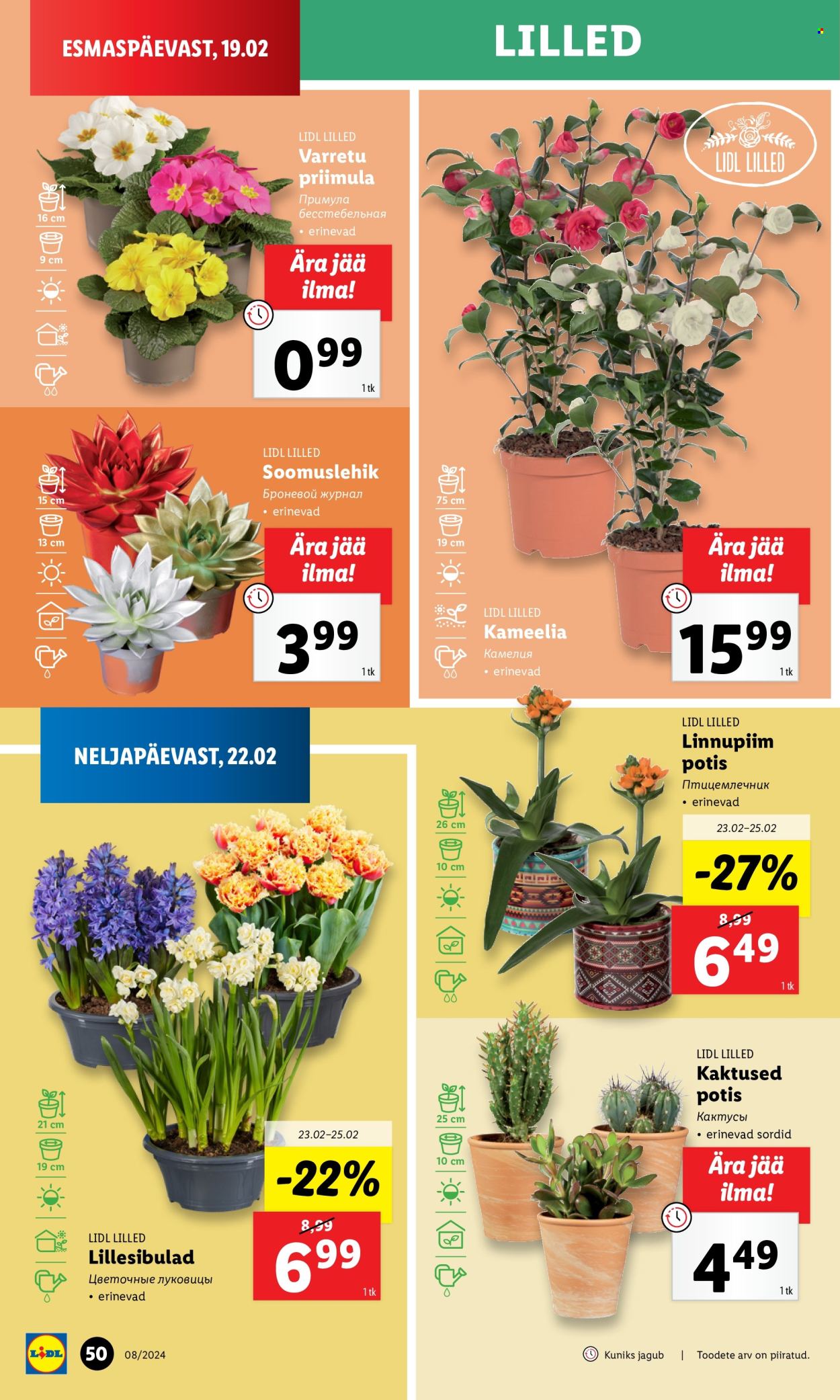 Lidl kliendileht - 19.02.2024 - 25.02.2024. Lehekülg 50