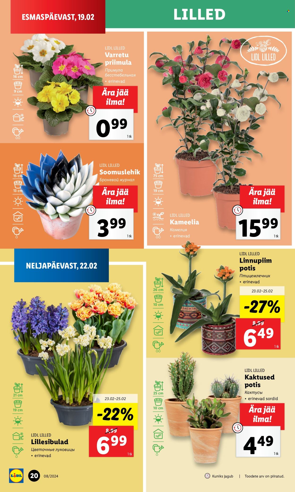 Lidl kliendileht - 22.02.2024 - 25.02.2024. Lehekülg 20