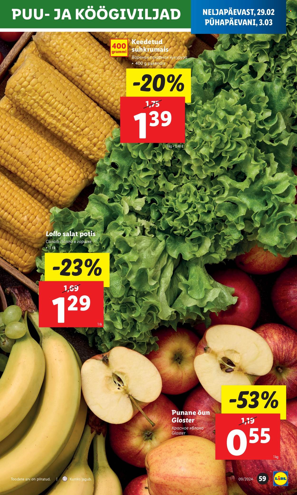 Lidl kliendileht - 26.02.2024 - 03.03.2024. Lehekülg 59