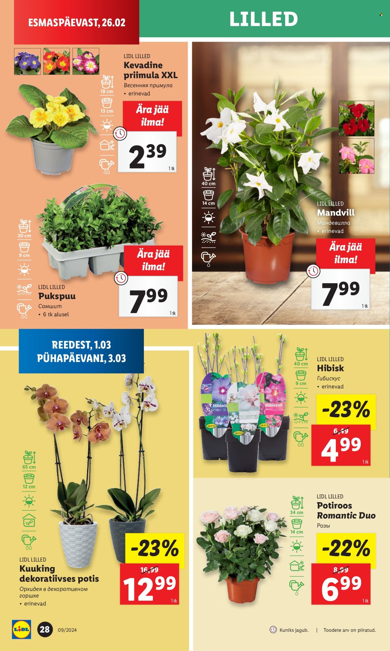 Lidl kliendileht - 29.02.2024 - 03.03.2024. Lehekülg 28